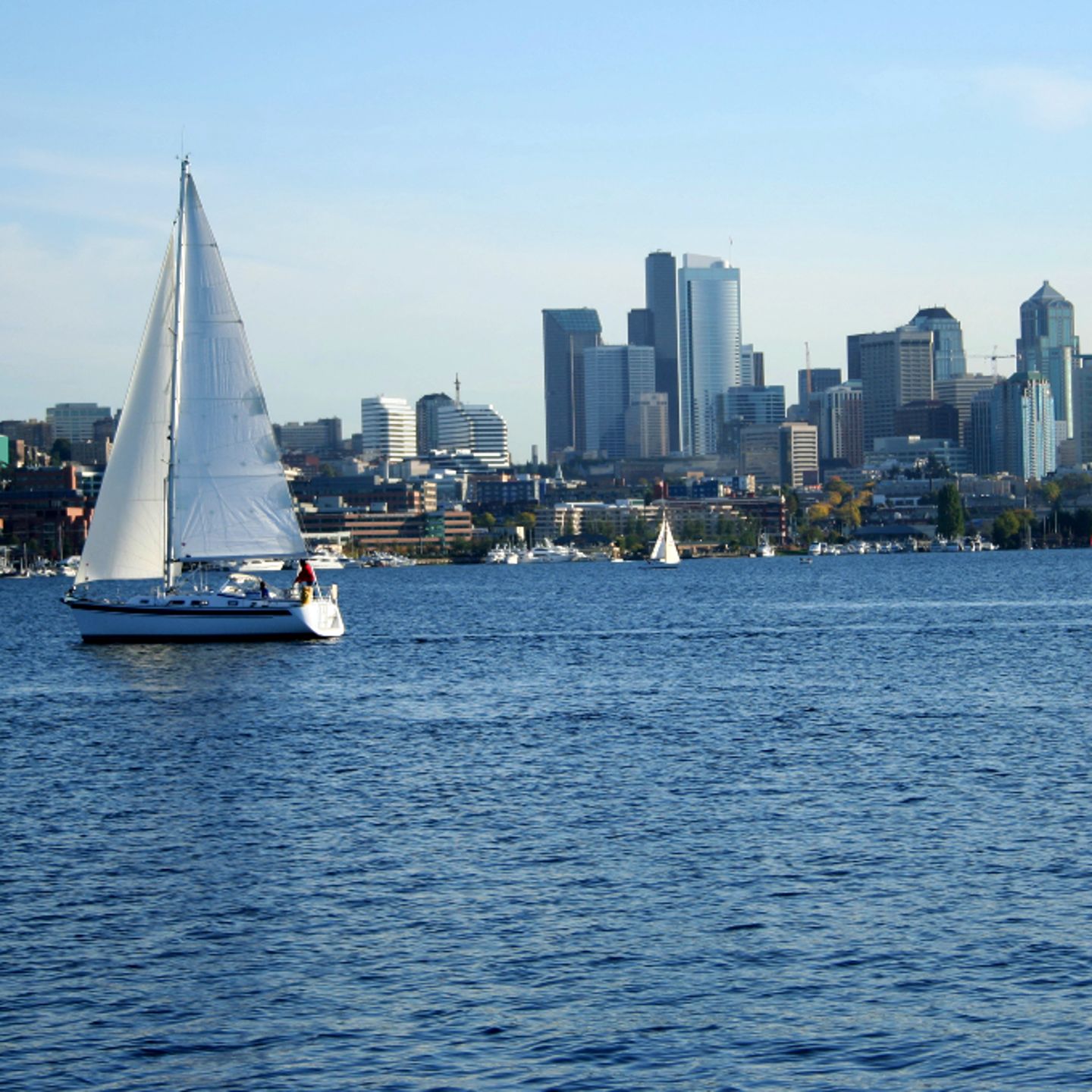 Lake union sail