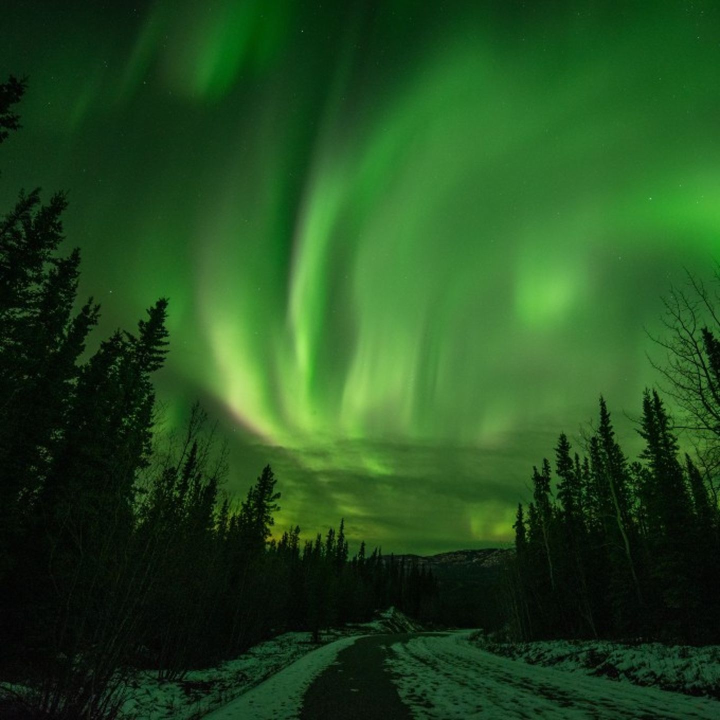 Northern lights