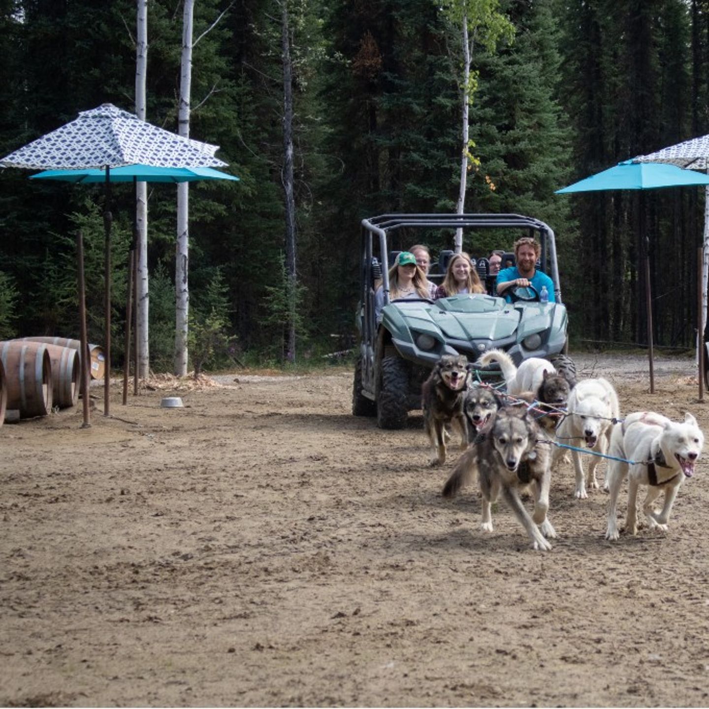 Dog kennels