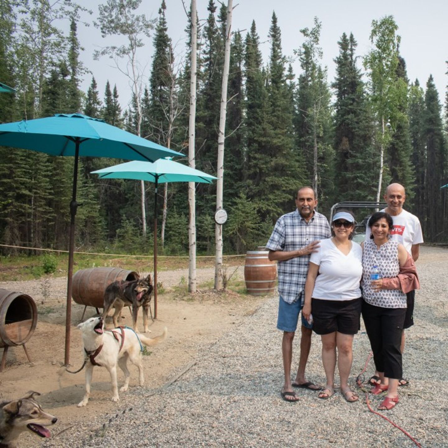 Summer kennel tour