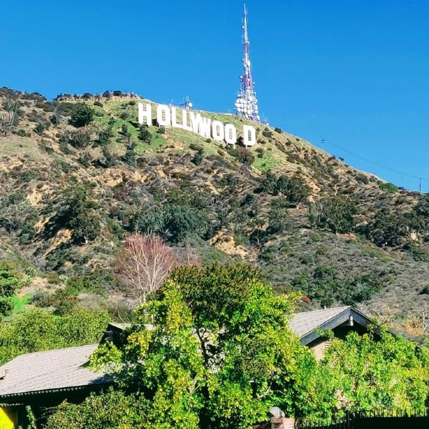 Hollywood Sign