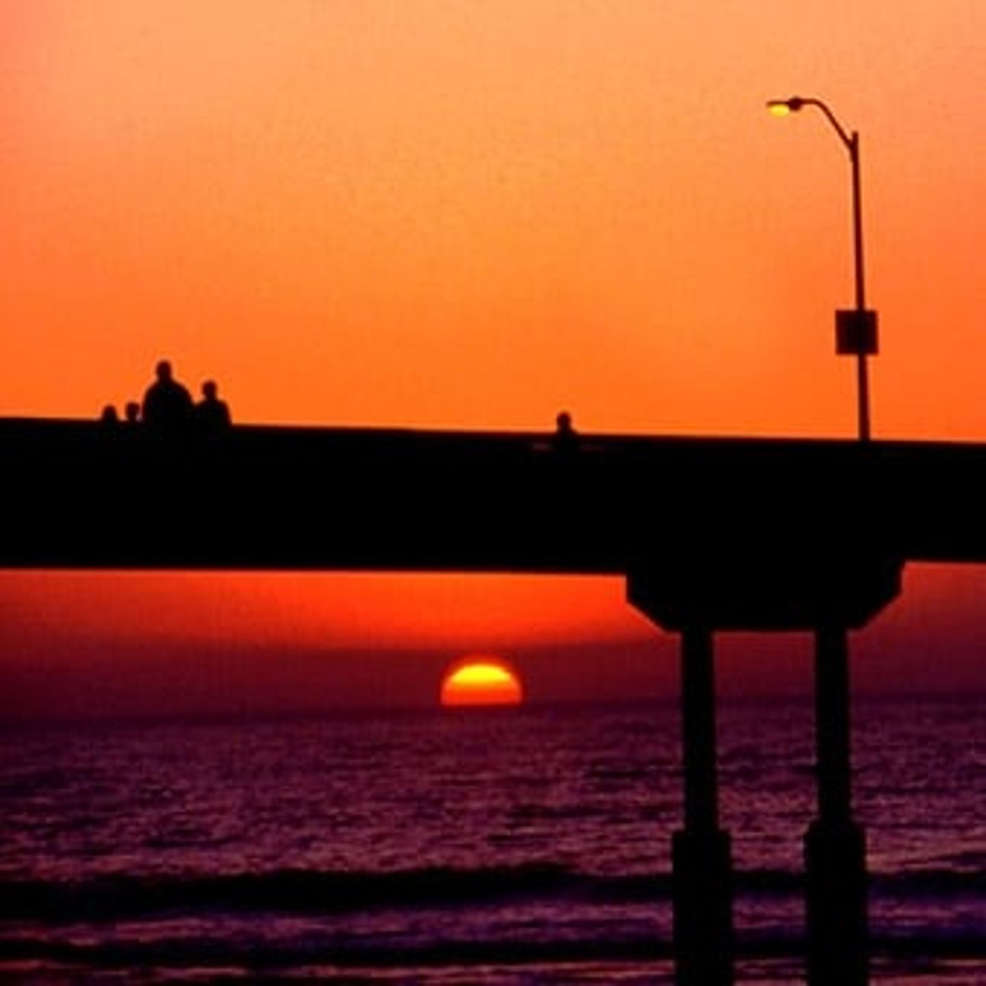 San Diego Photo Safari in San Diego