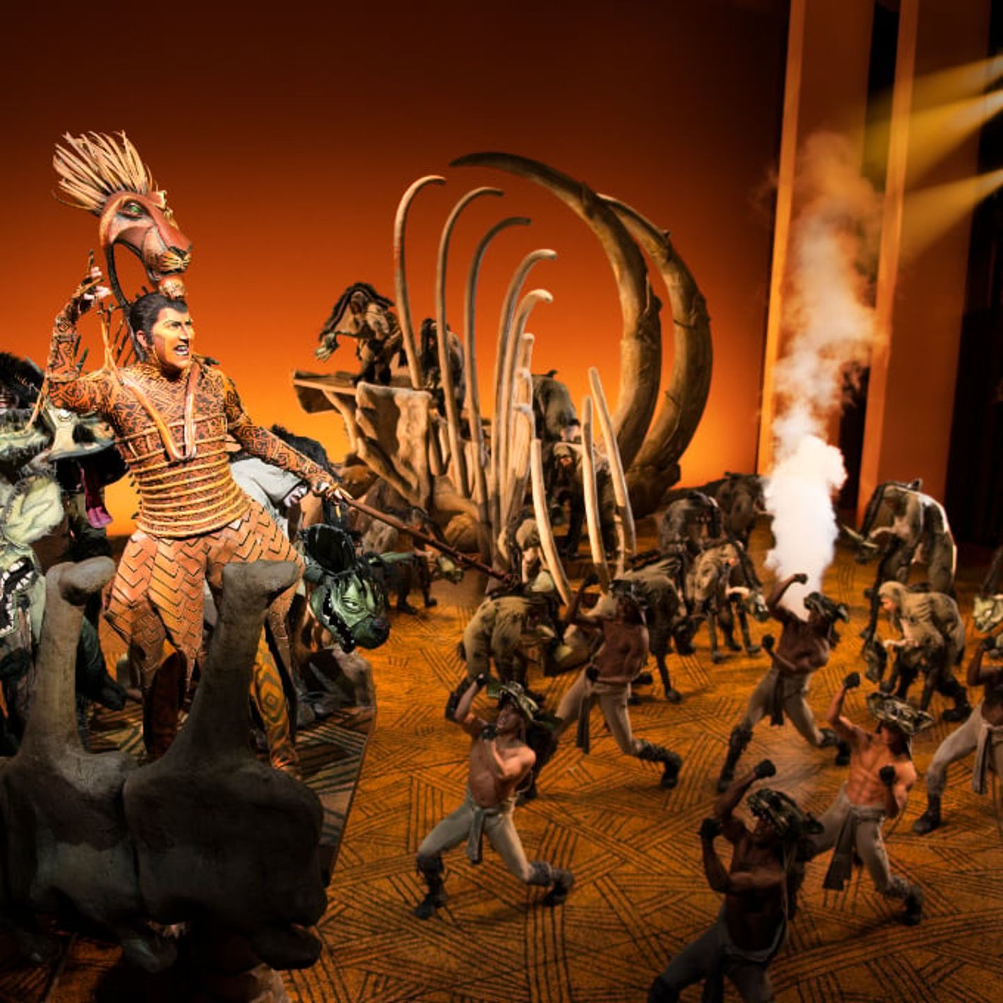 Performance in THE LION KING on Broadway