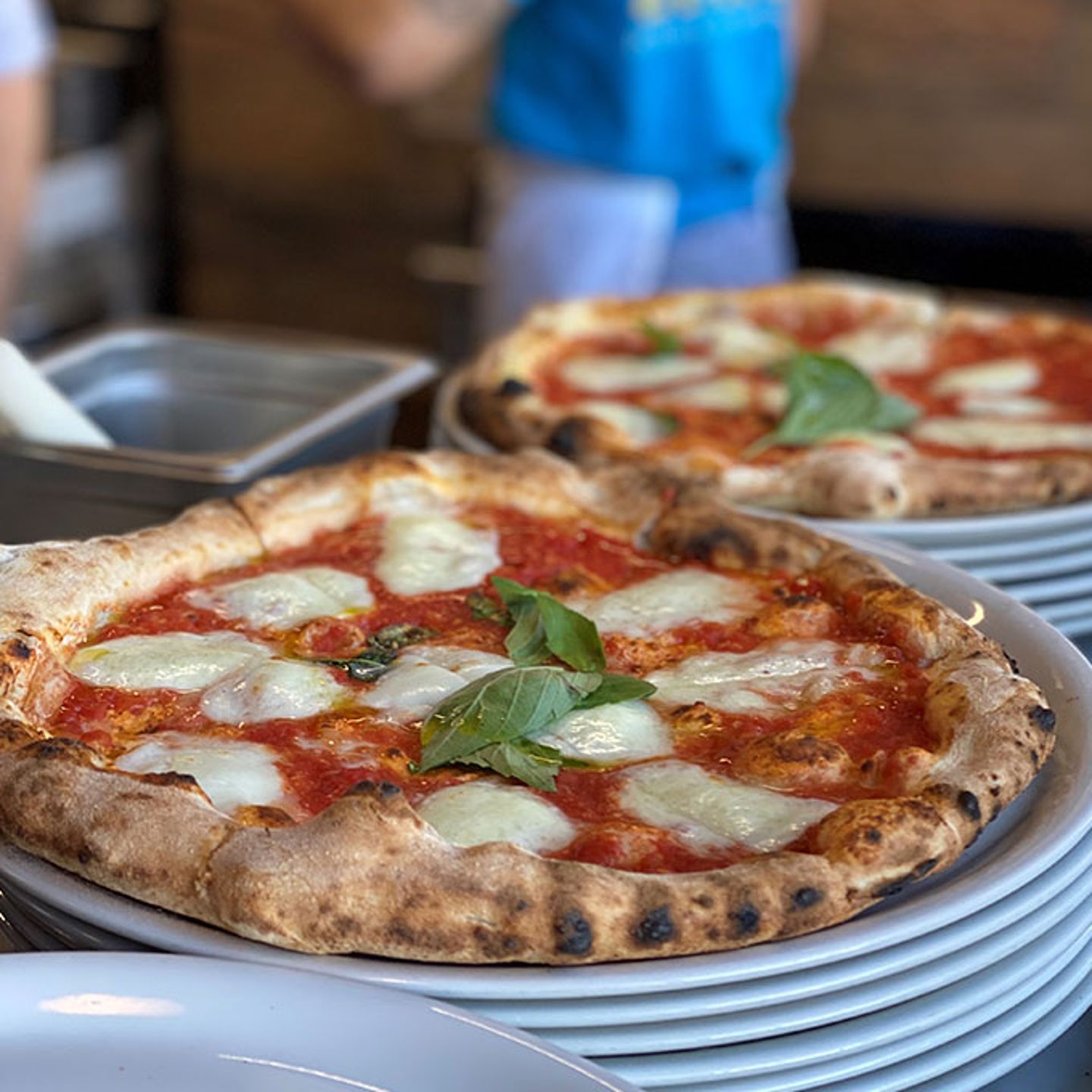 Pizza Tour in New Haven
