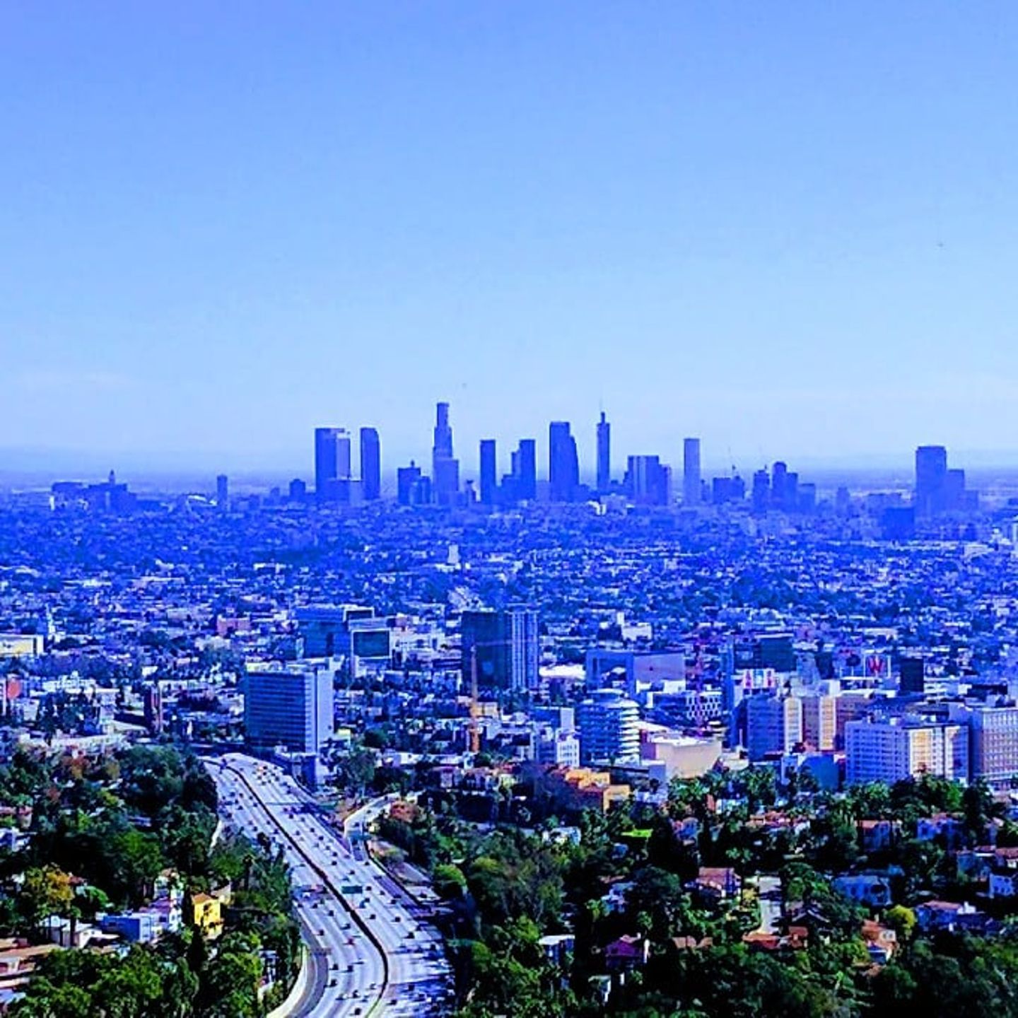 Los Angeles Skyline