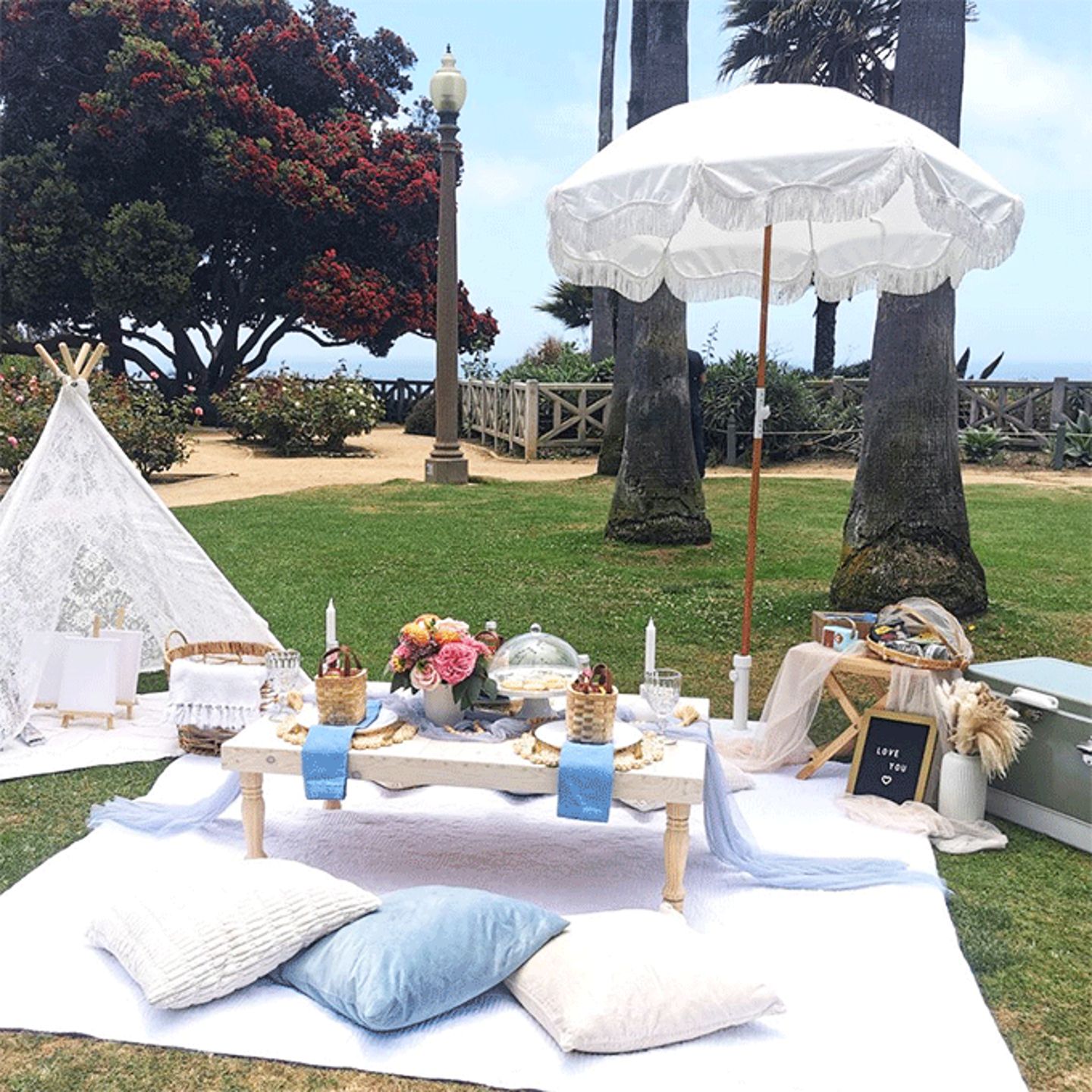 Park Picnic