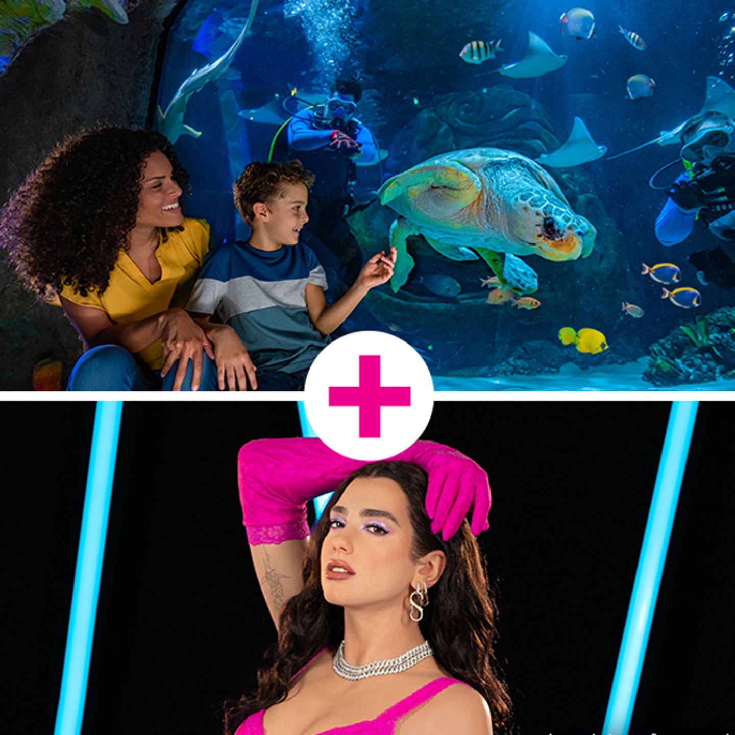 SEA LIFE + Madame Tussauds
