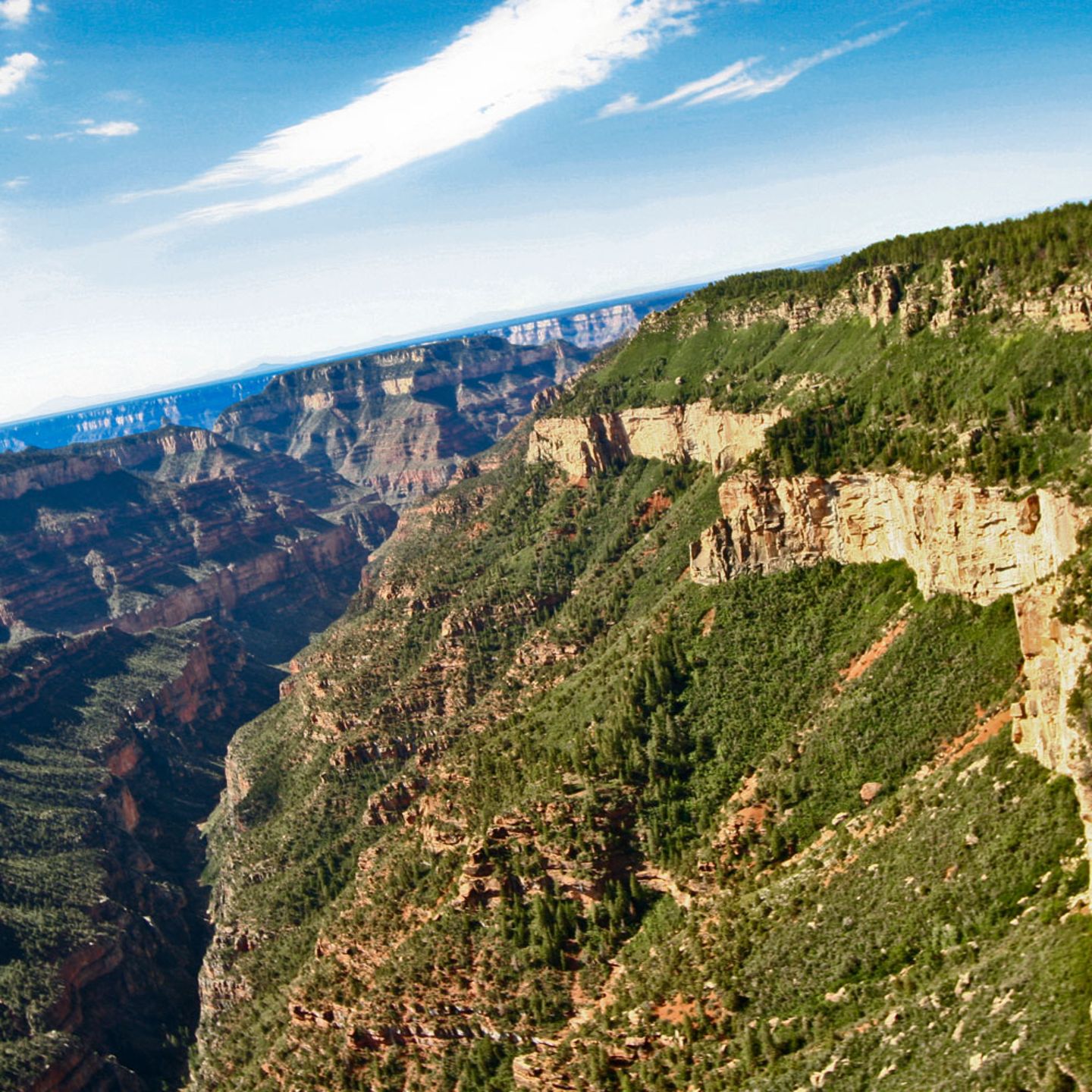 South Rim Helicopter Tour