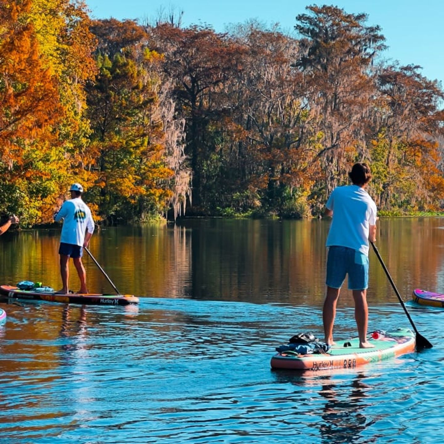 Two people paddleboarding