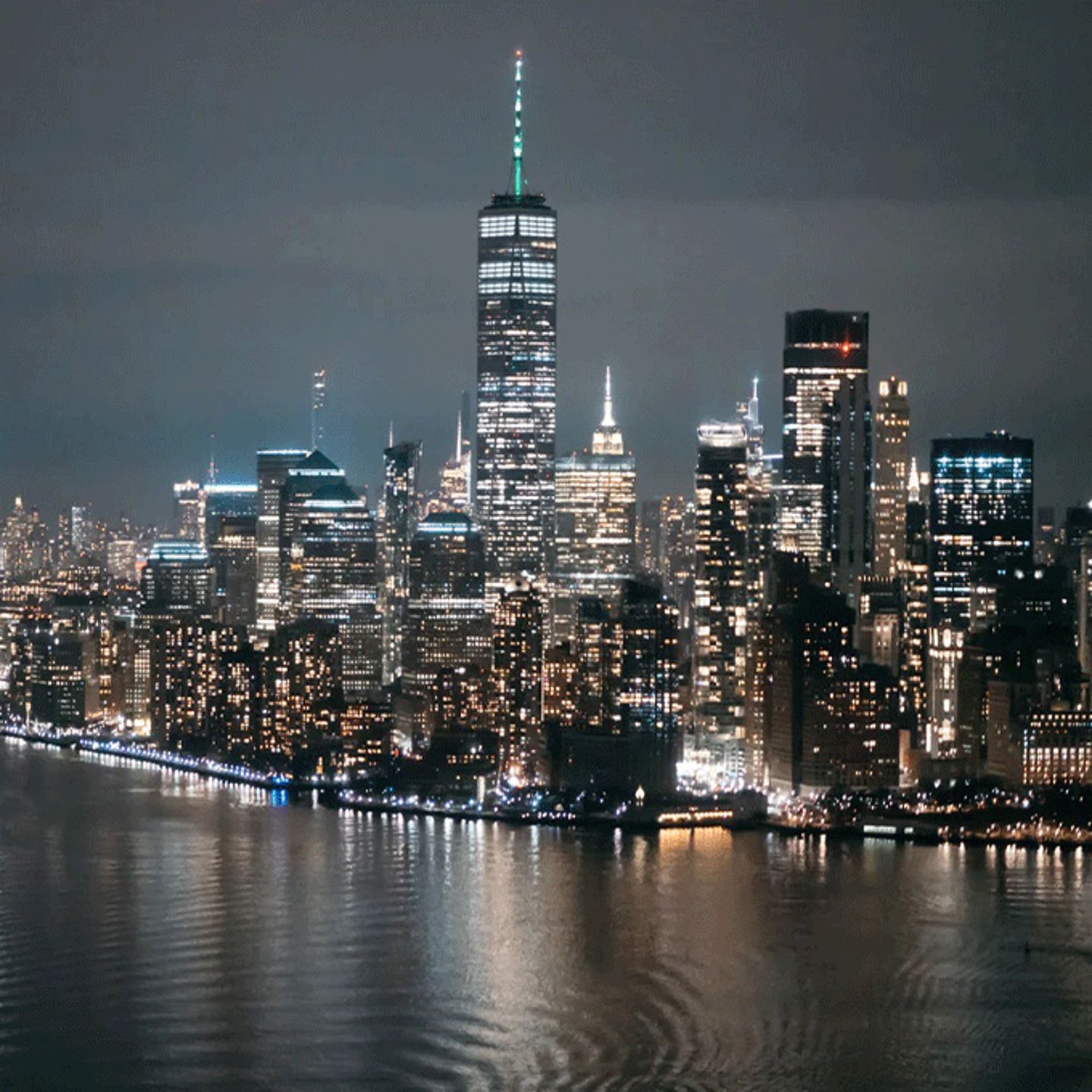 Night Tour