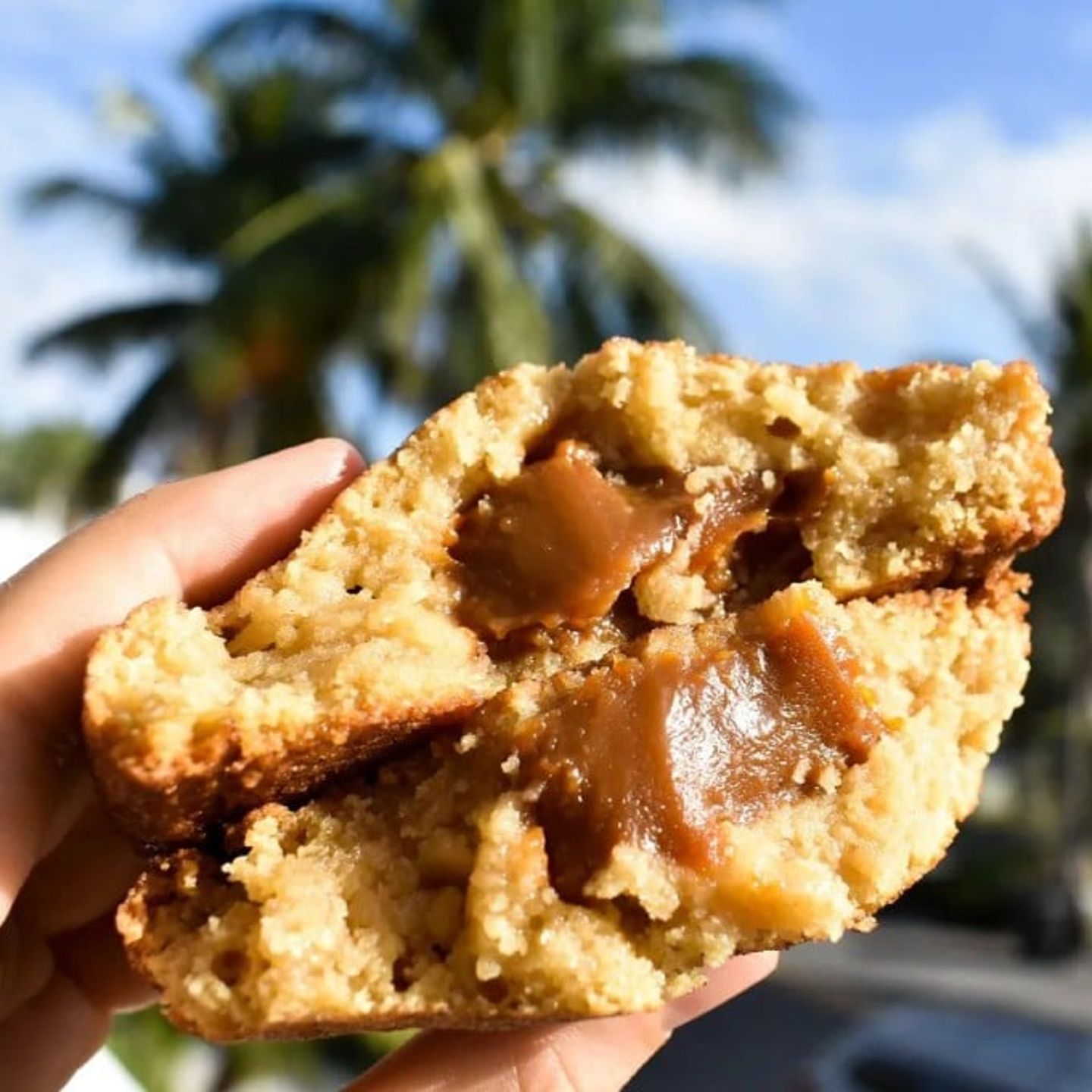 Chocolate chip cookie