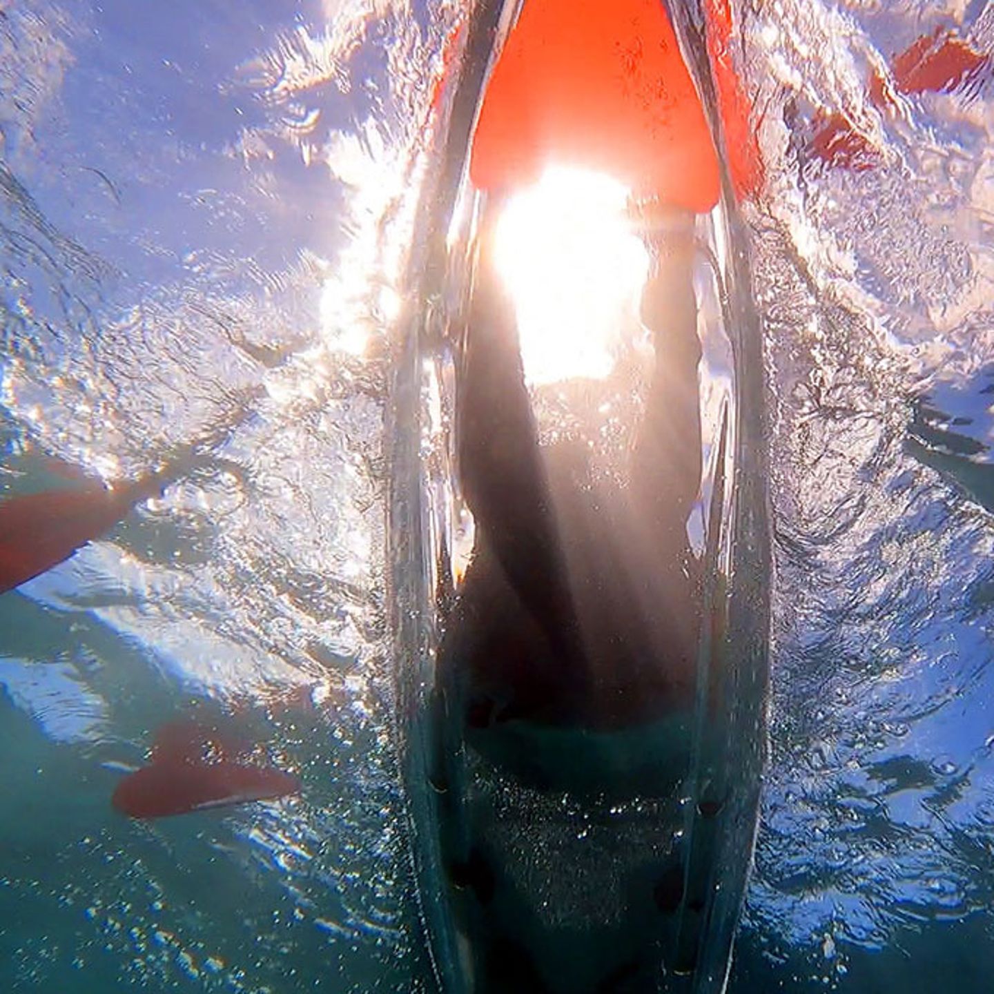 Snorkel & Kayak Tour
