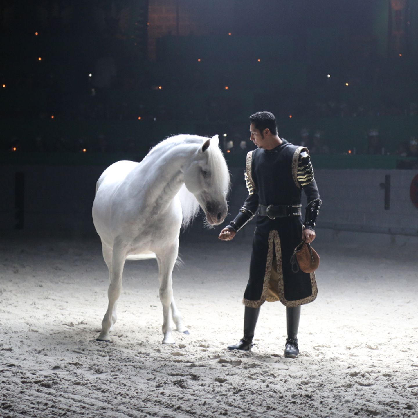 Man with horse