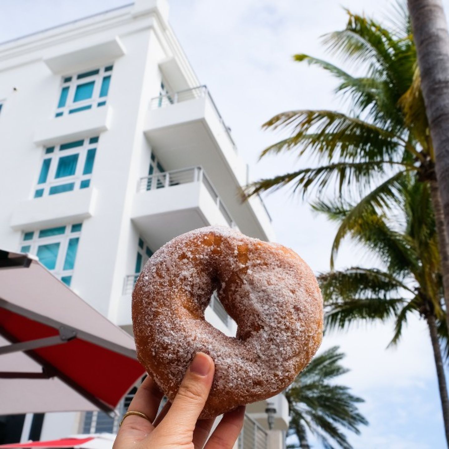 Donut Being Held Up in Front of Palm Tree and Building