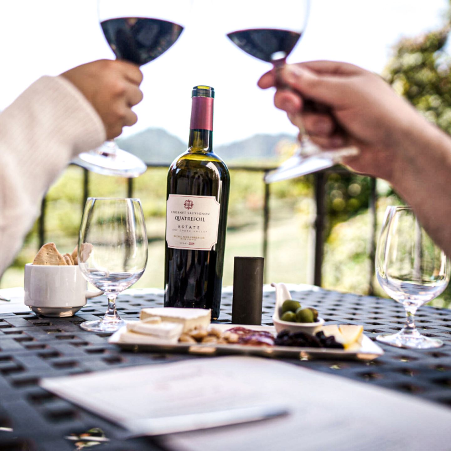 Wine with charcuterie