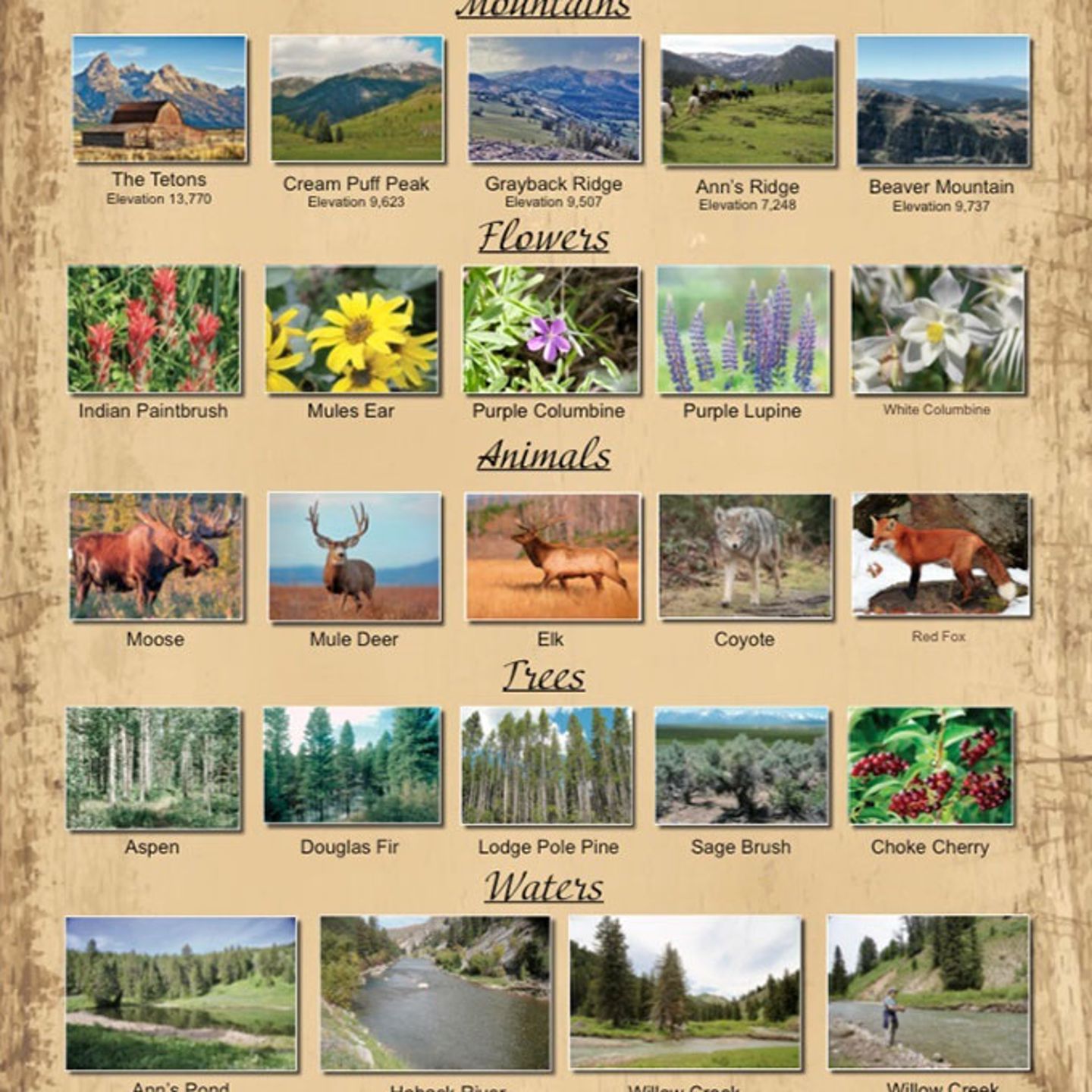 https://cdn.virgingifts.com/media/image/m/o/moosemeadowbreakfastride-willowcreekhorsebackrides5.jpg
