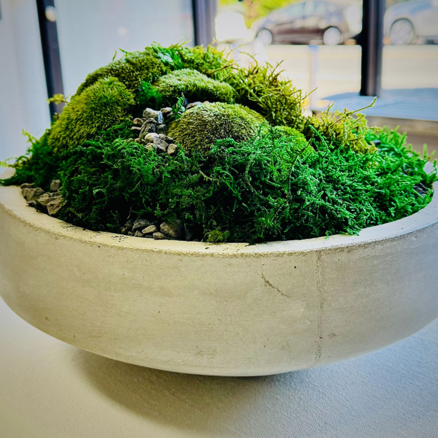 Moss Bowl