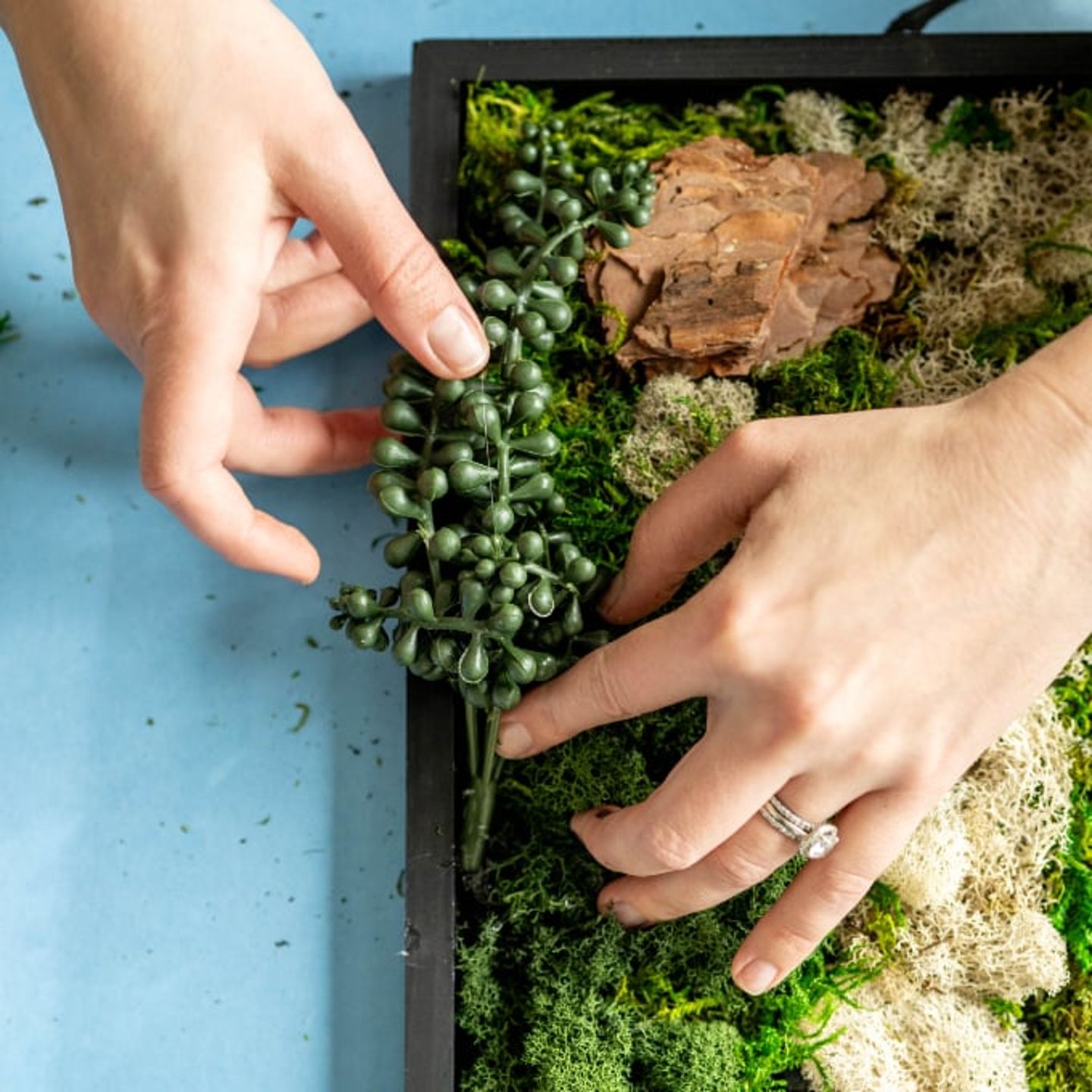 Person adding plant to wall