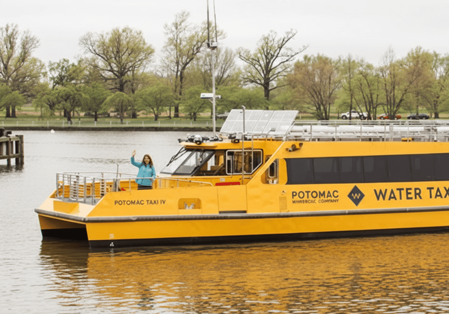 Water Taxi in Alexandria