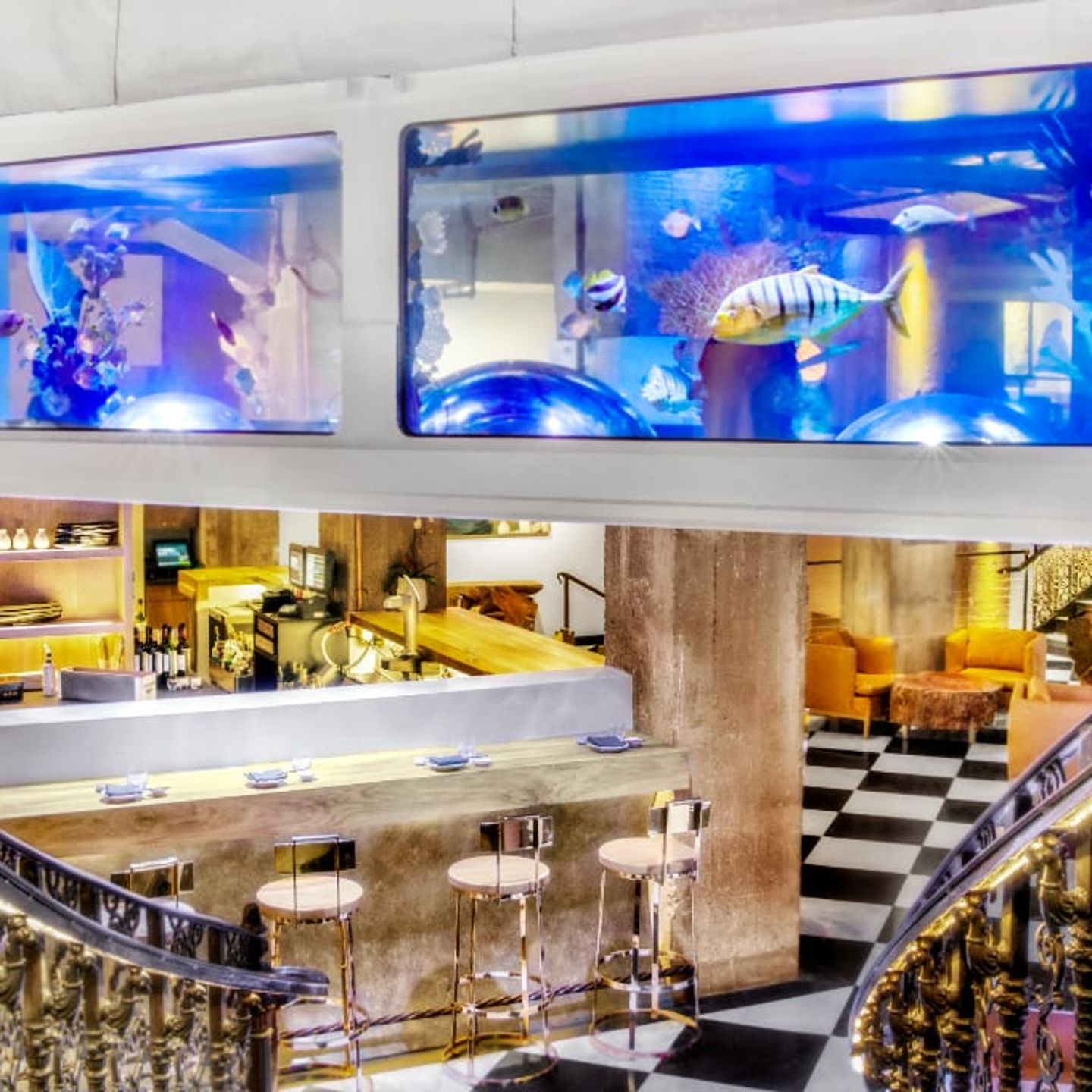 Restaurant fish tank