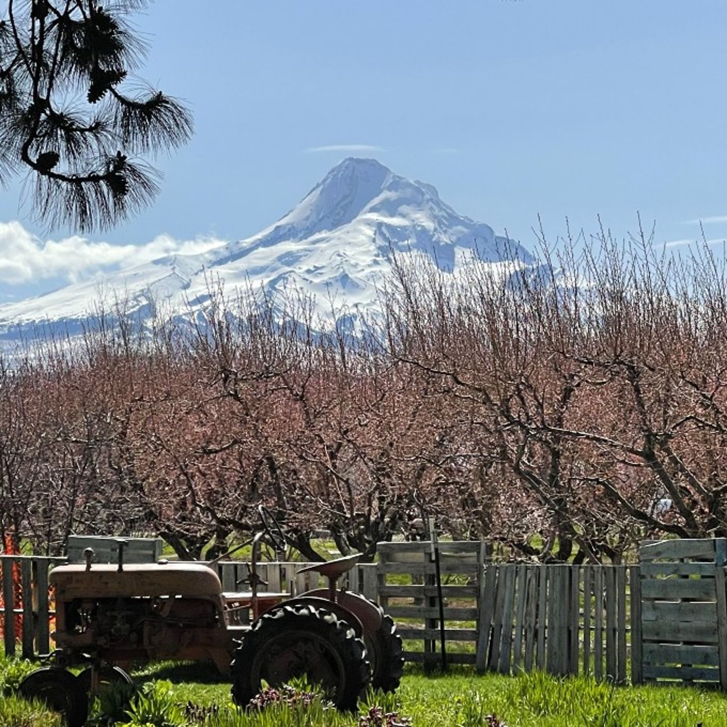 Farm near mountain
