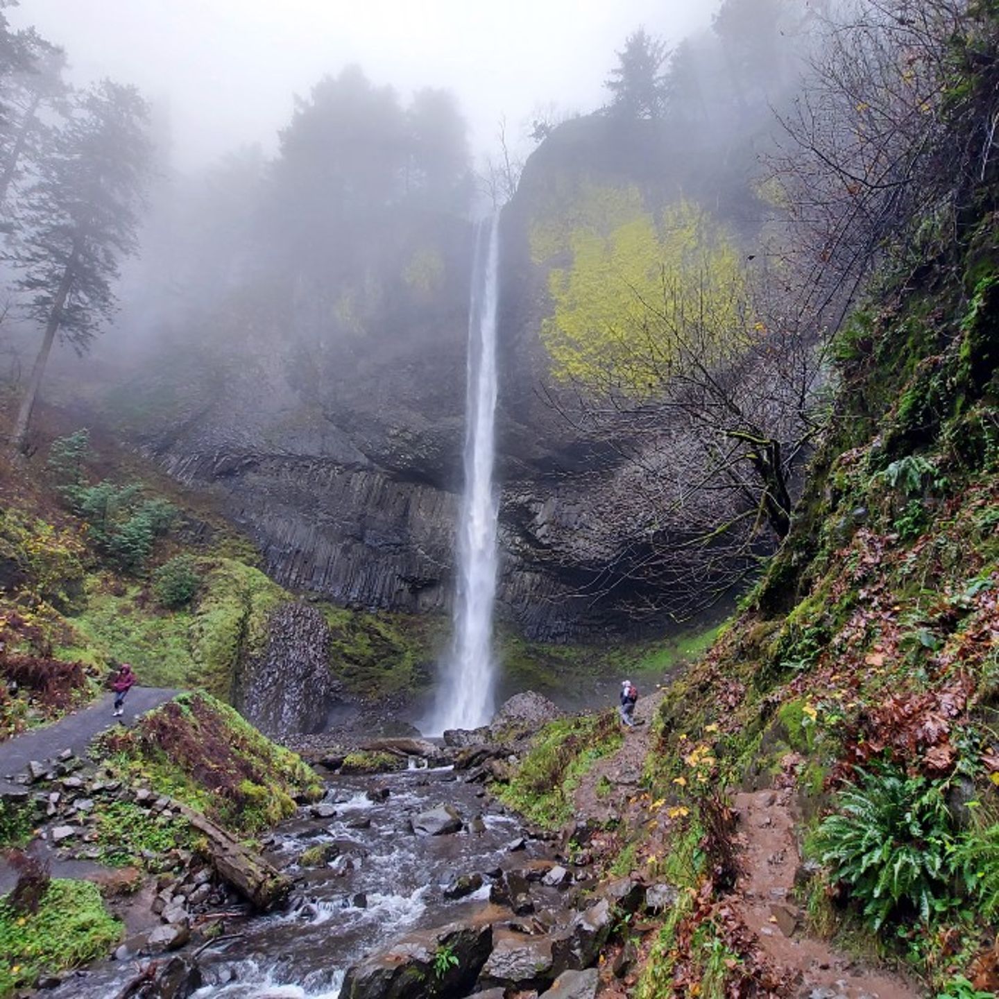 Waterfall