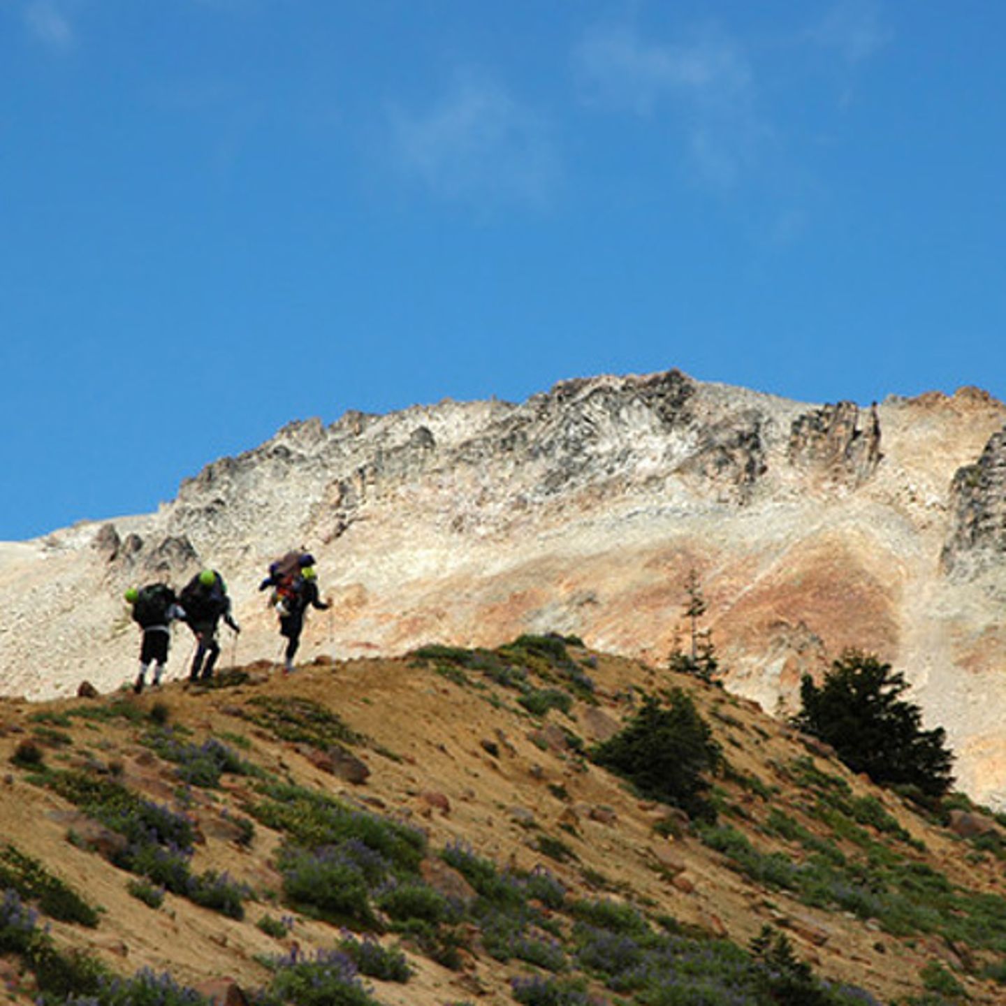 Hikers View of Mt. St Helens in Seattle