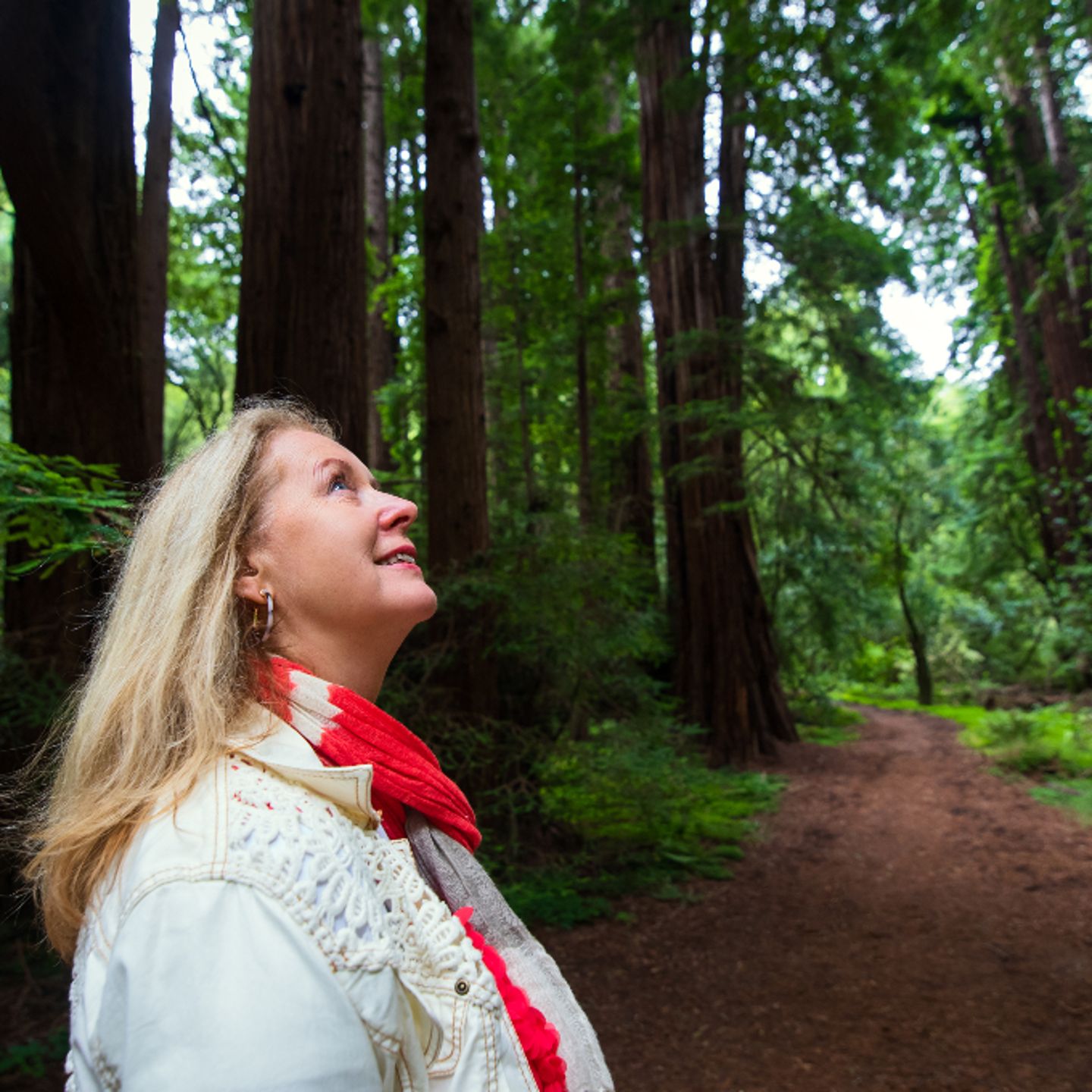 Woman looking at forest
