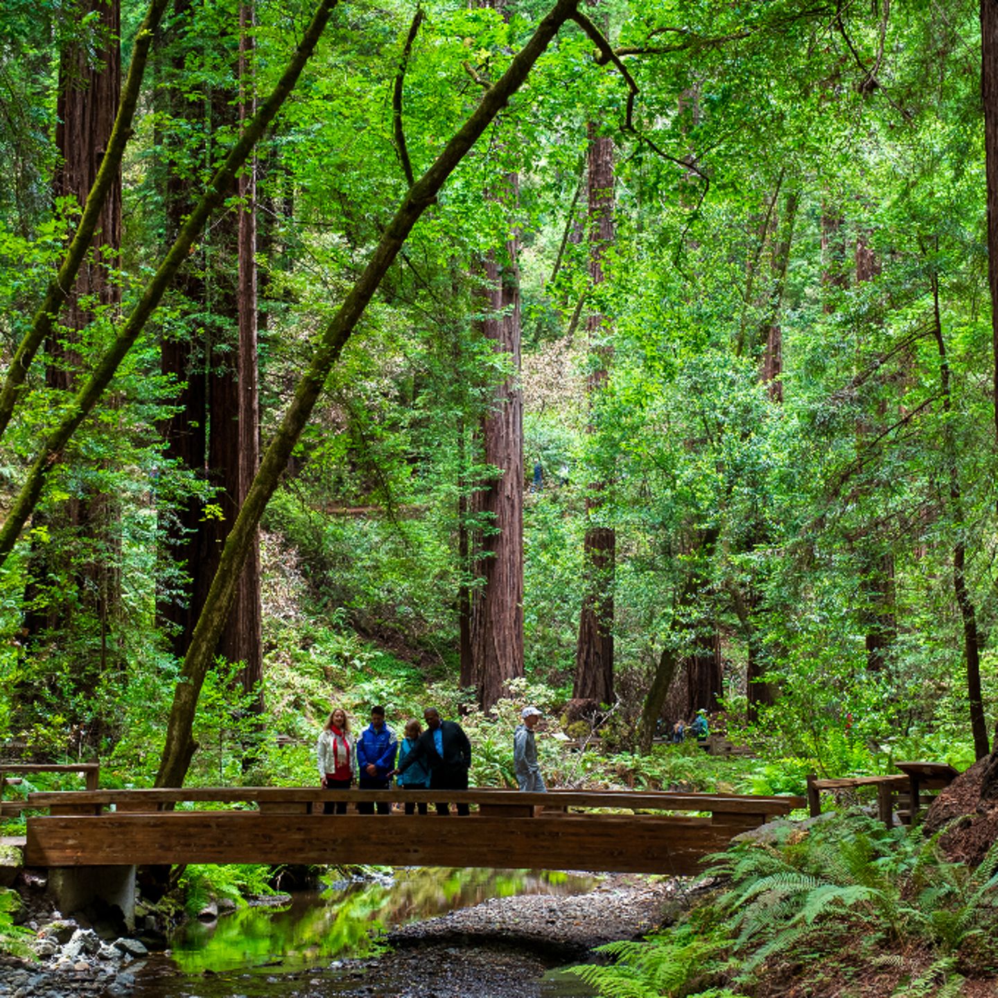 Group walking in bridge