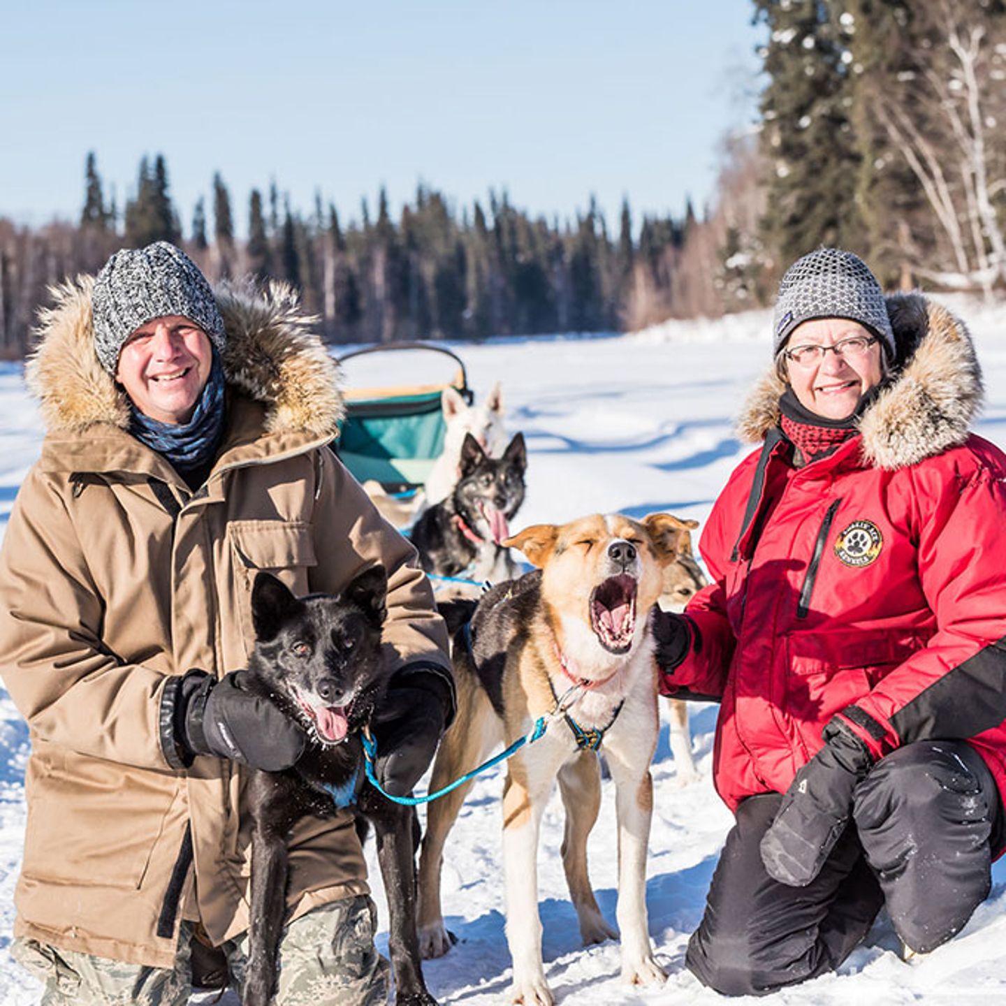 Mushing Trip in Alaska