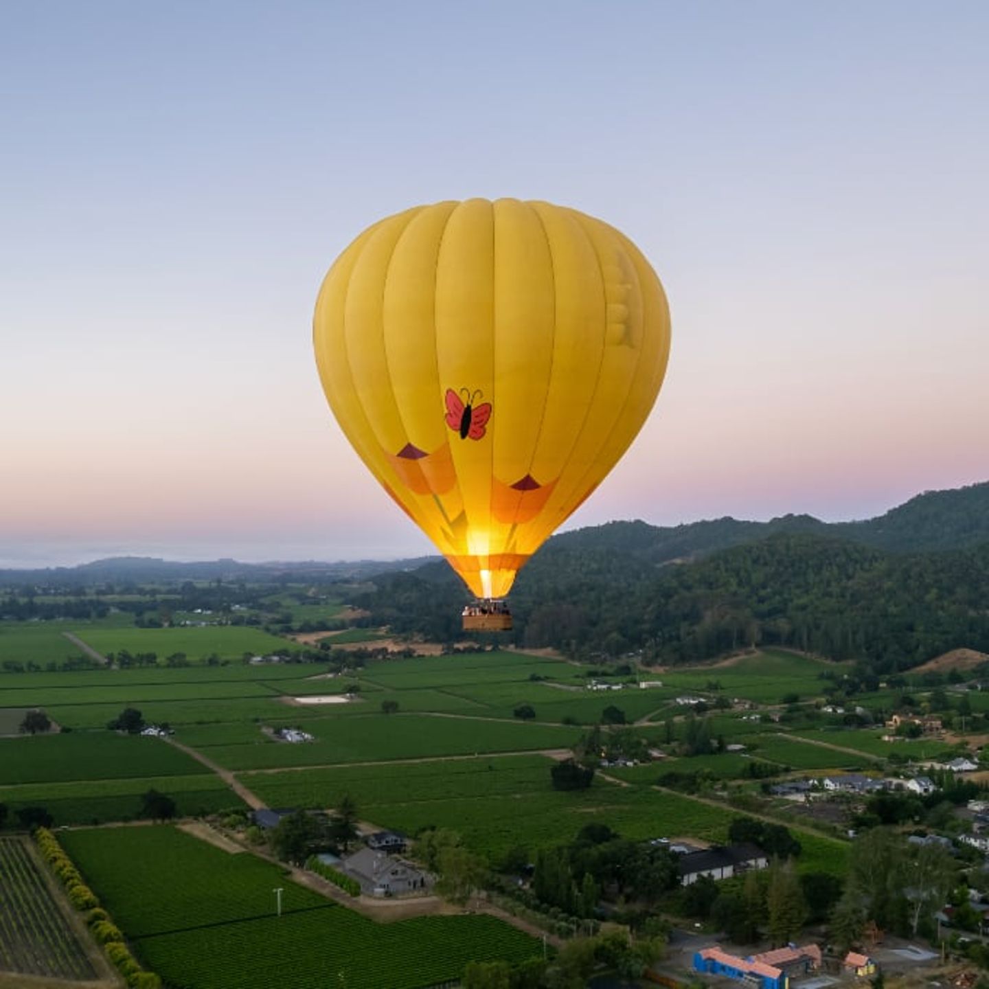 Napa Valley Hot Air Balloon Ride and Wine Tasting at Ashes & Diamonds Winery for Two 1