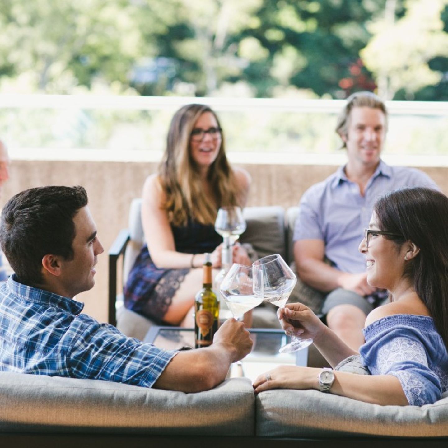 Guided Bike Tour of Napa Valley