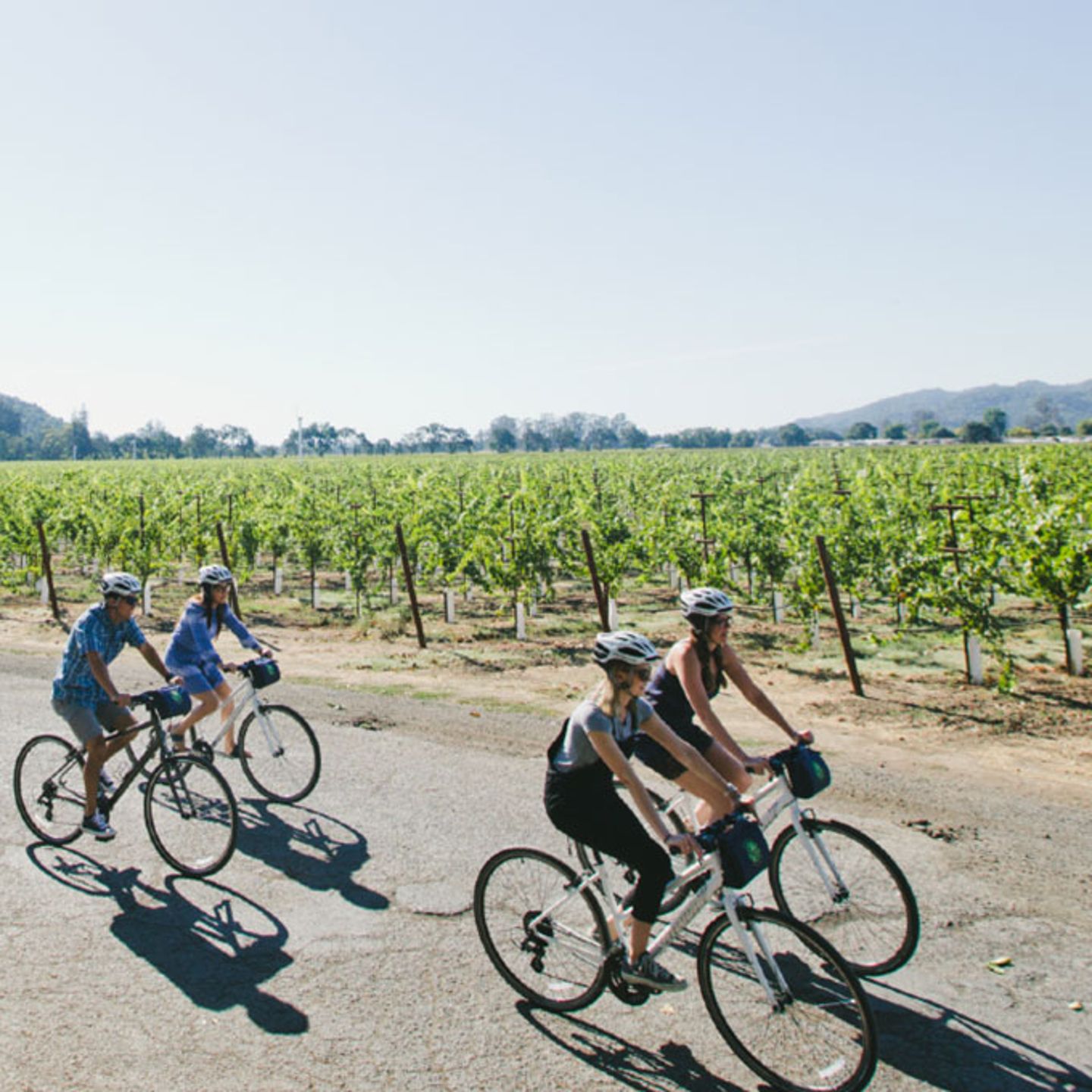 Tour Napa Valley by Bike
