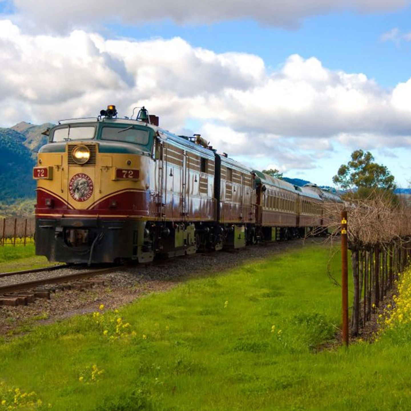 Gourmet Lunch Train through Napa Valley