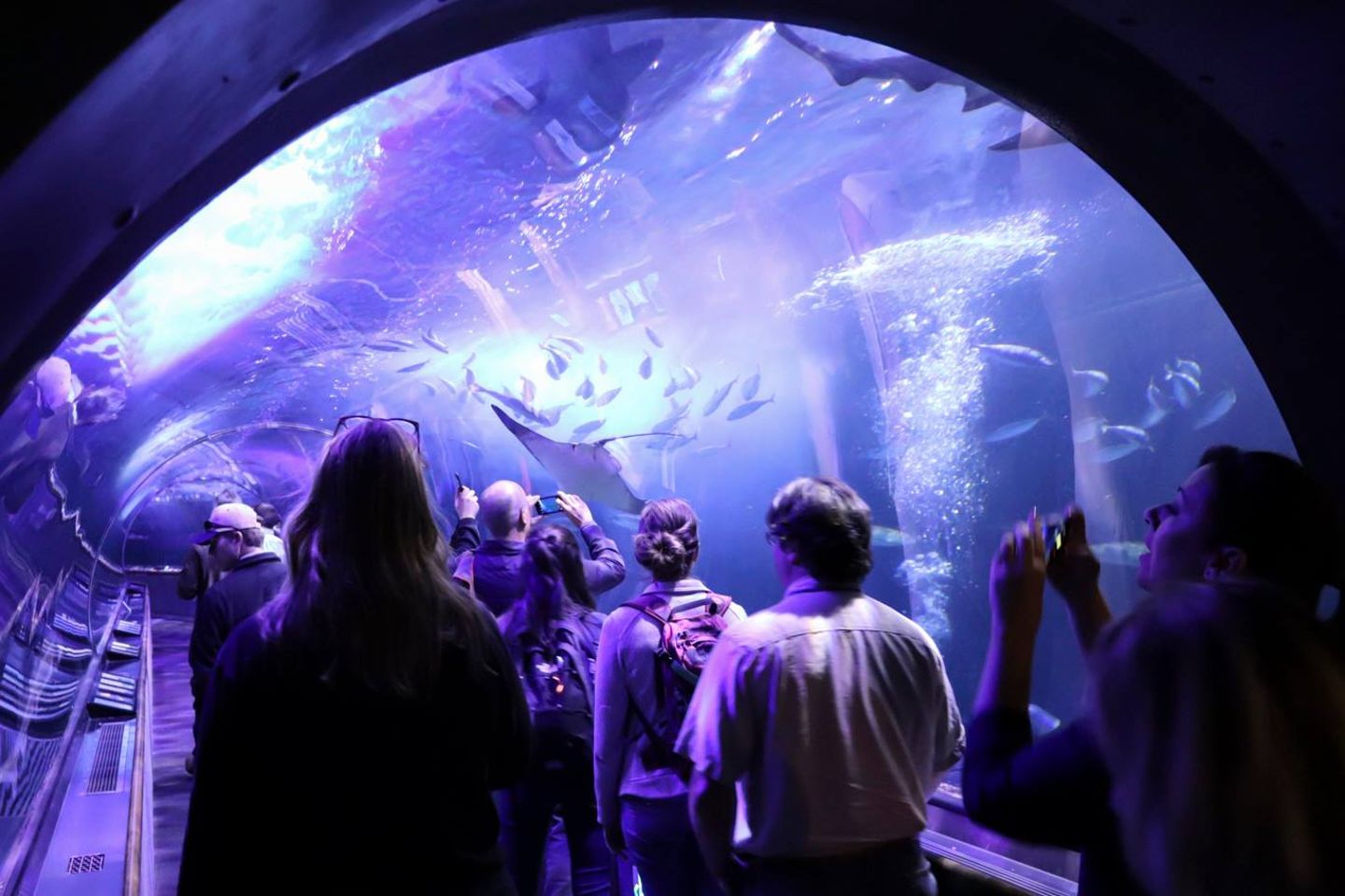 Group in aquarium