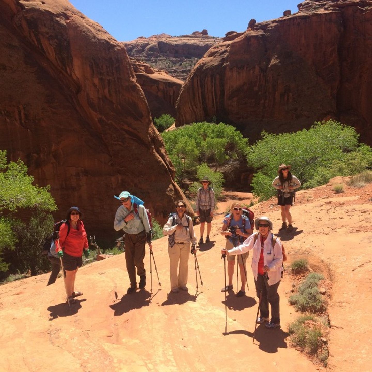 Half-Day Hiking Adventure