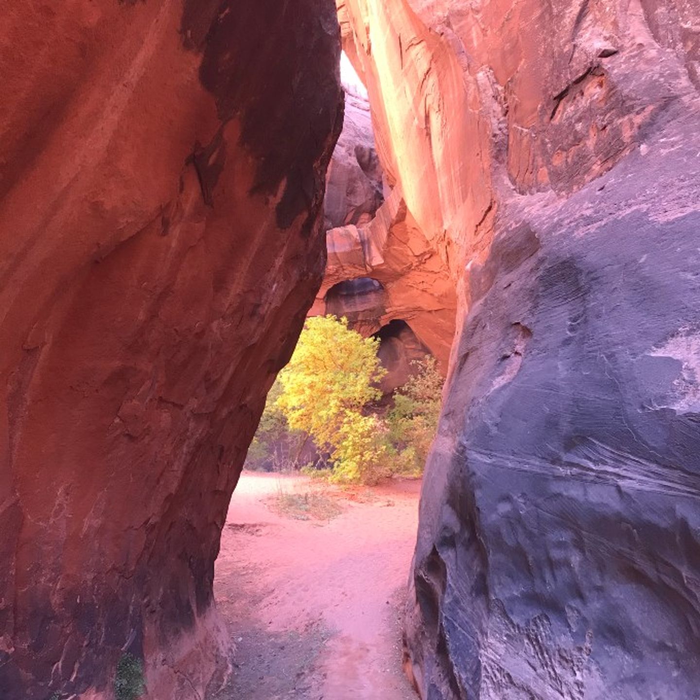 Boulder UT Hiking