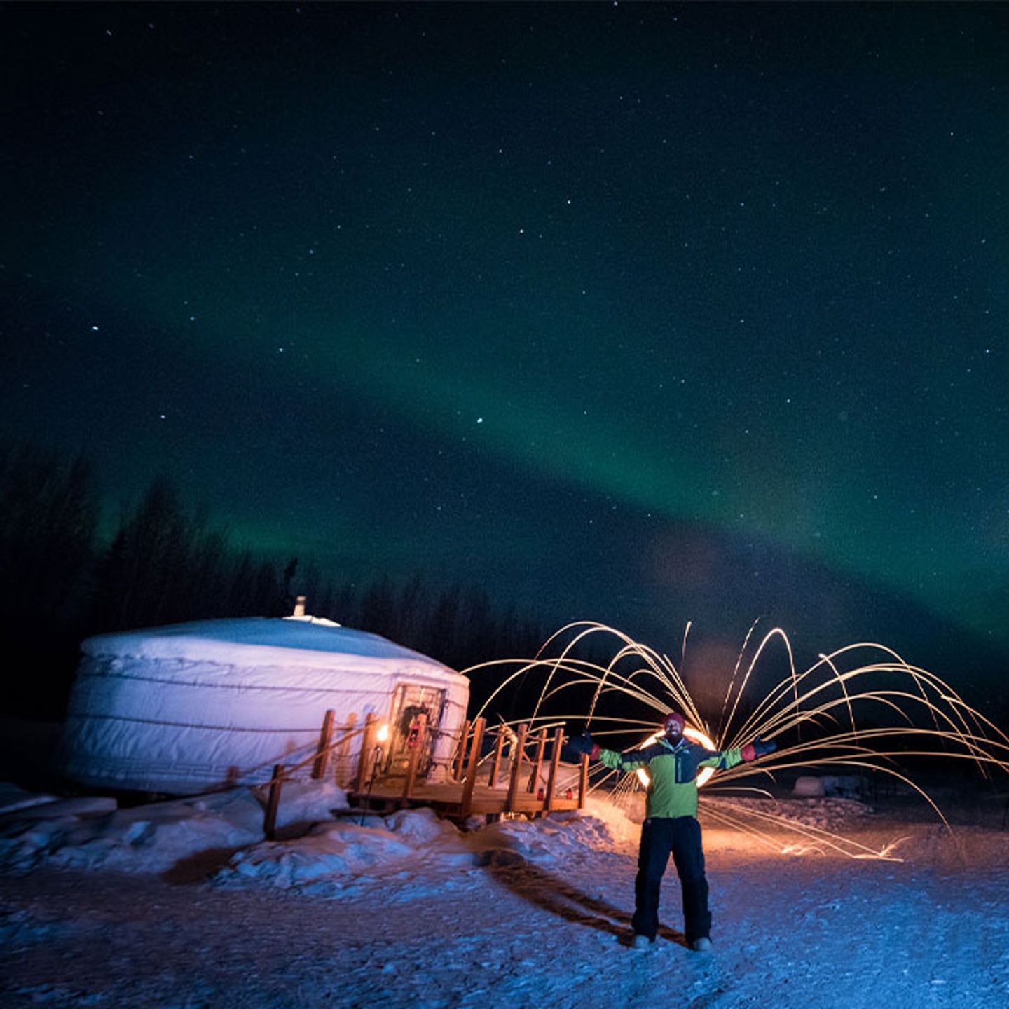 Nighttime Dog Sledding