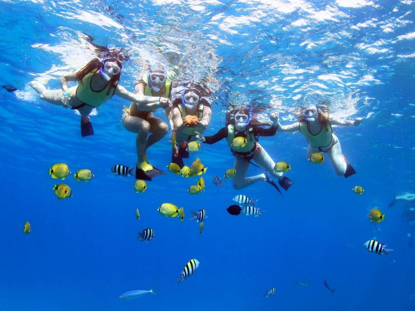 Snorkeling