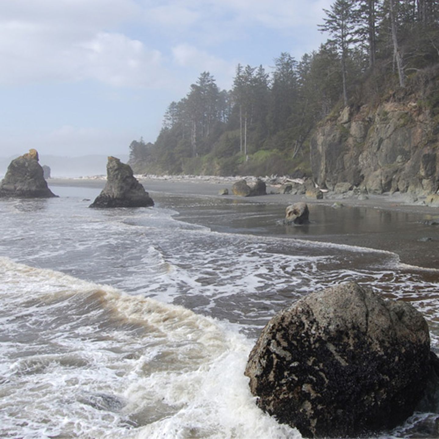 olympic-national-park-beaches