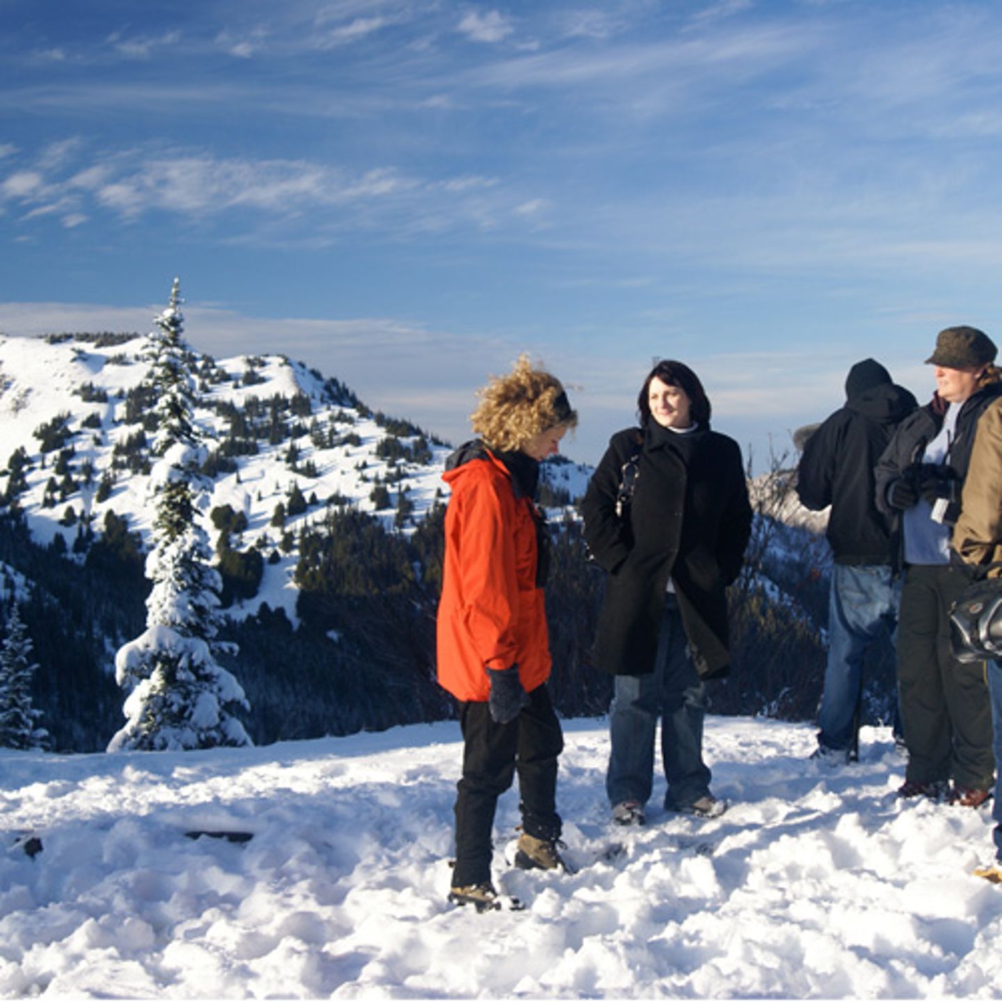 olympic-national-park-tour-scenery
