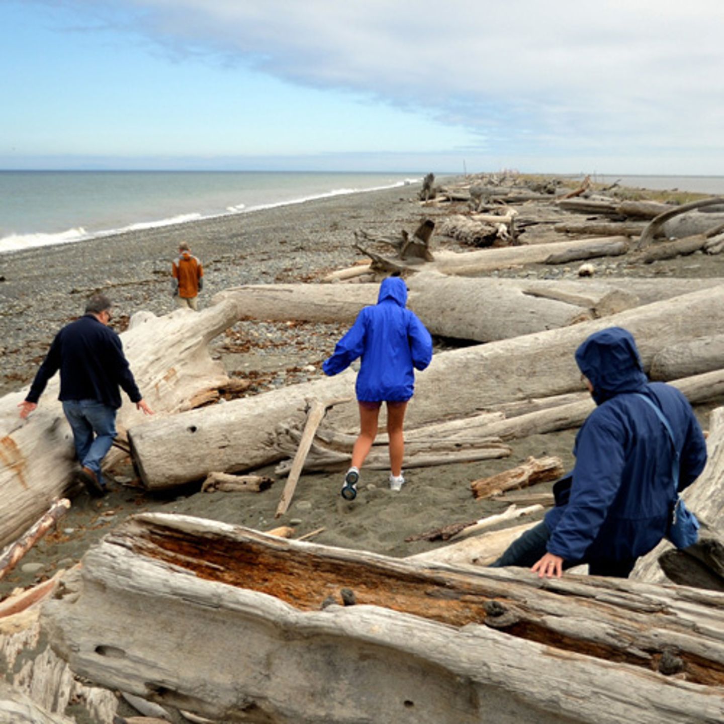 olympic-national-park-tour-coastline