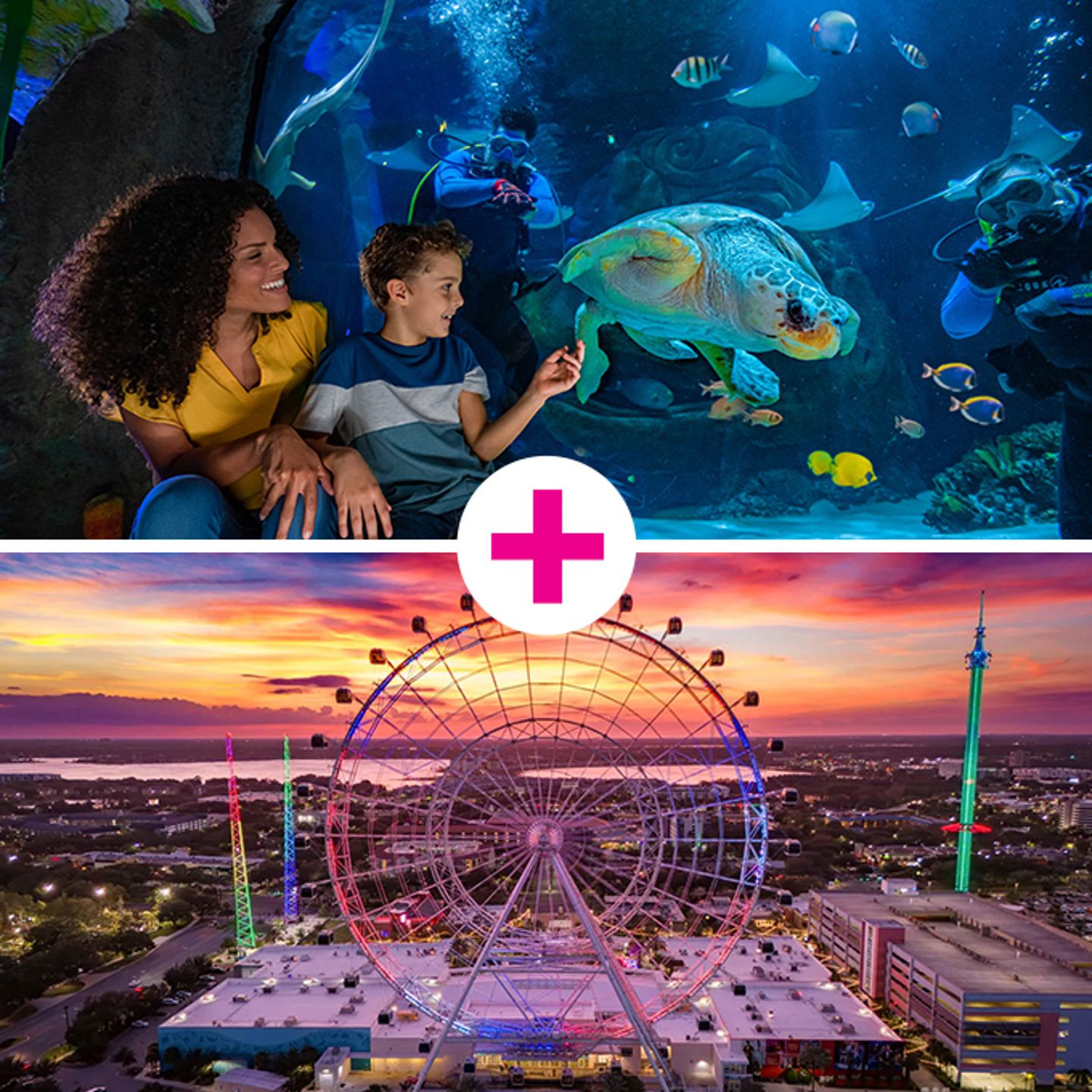 SEA LIFE + Orlando Eye
