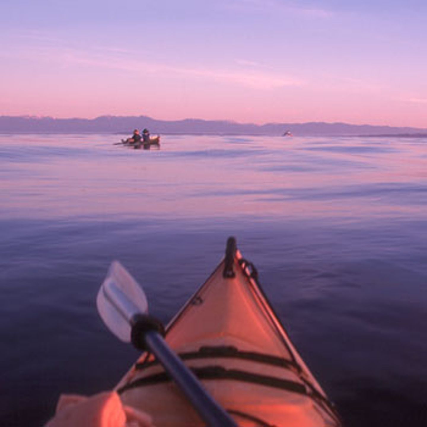 San Juan Island Kayak Tour in Seattle