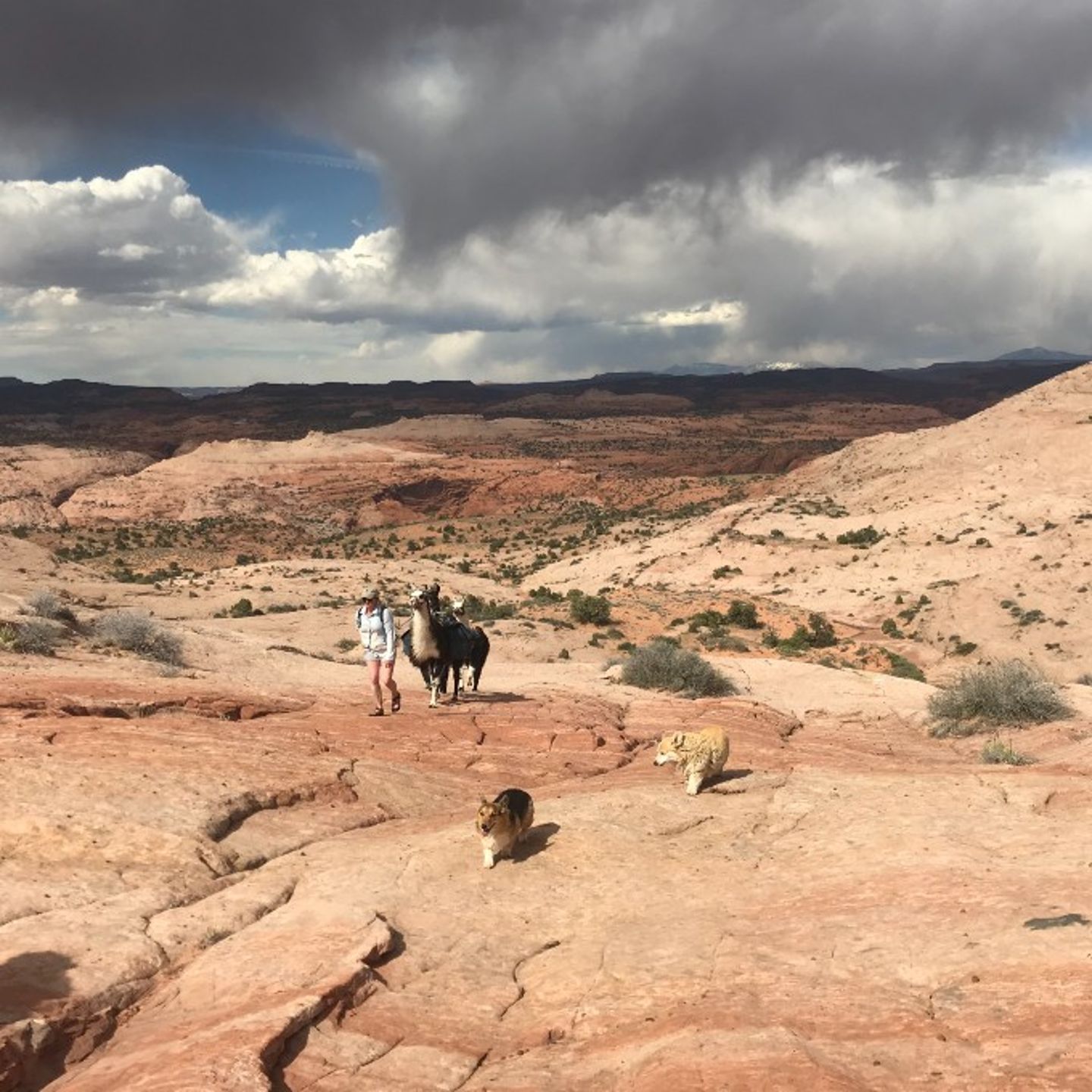 Overnight Camping Experience