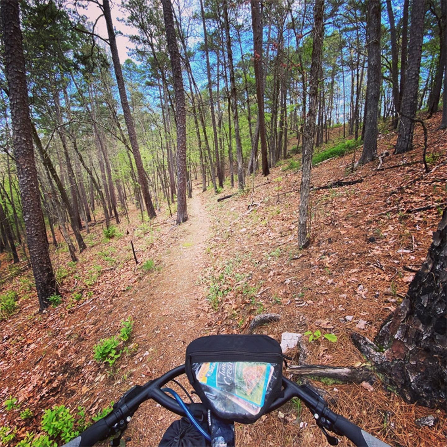 Guided Gravel Bike Tour 