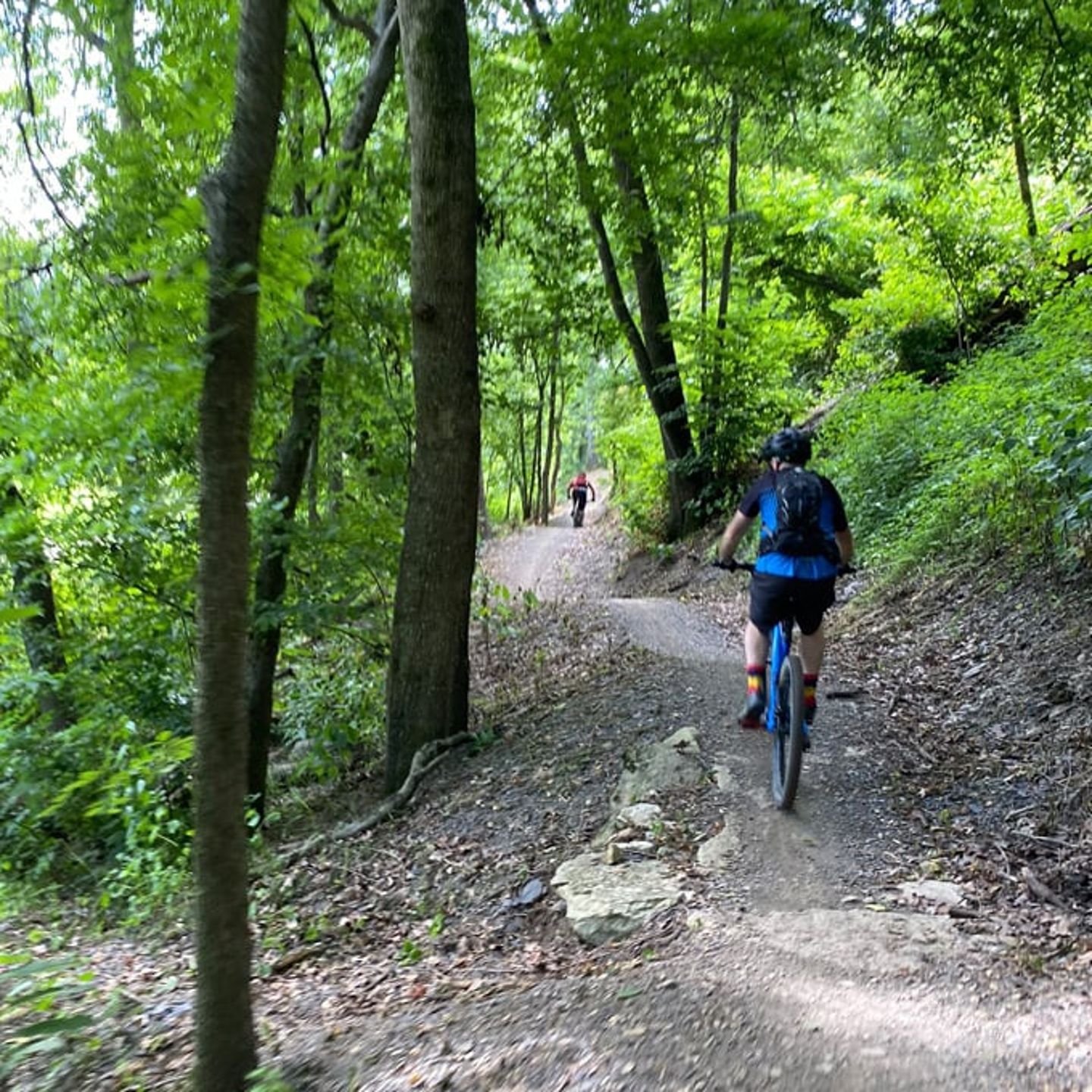 Guided Mountain Biking