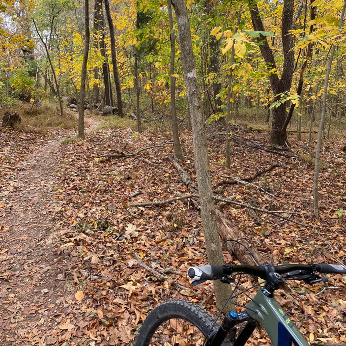 Mountain Bike from Bentonville