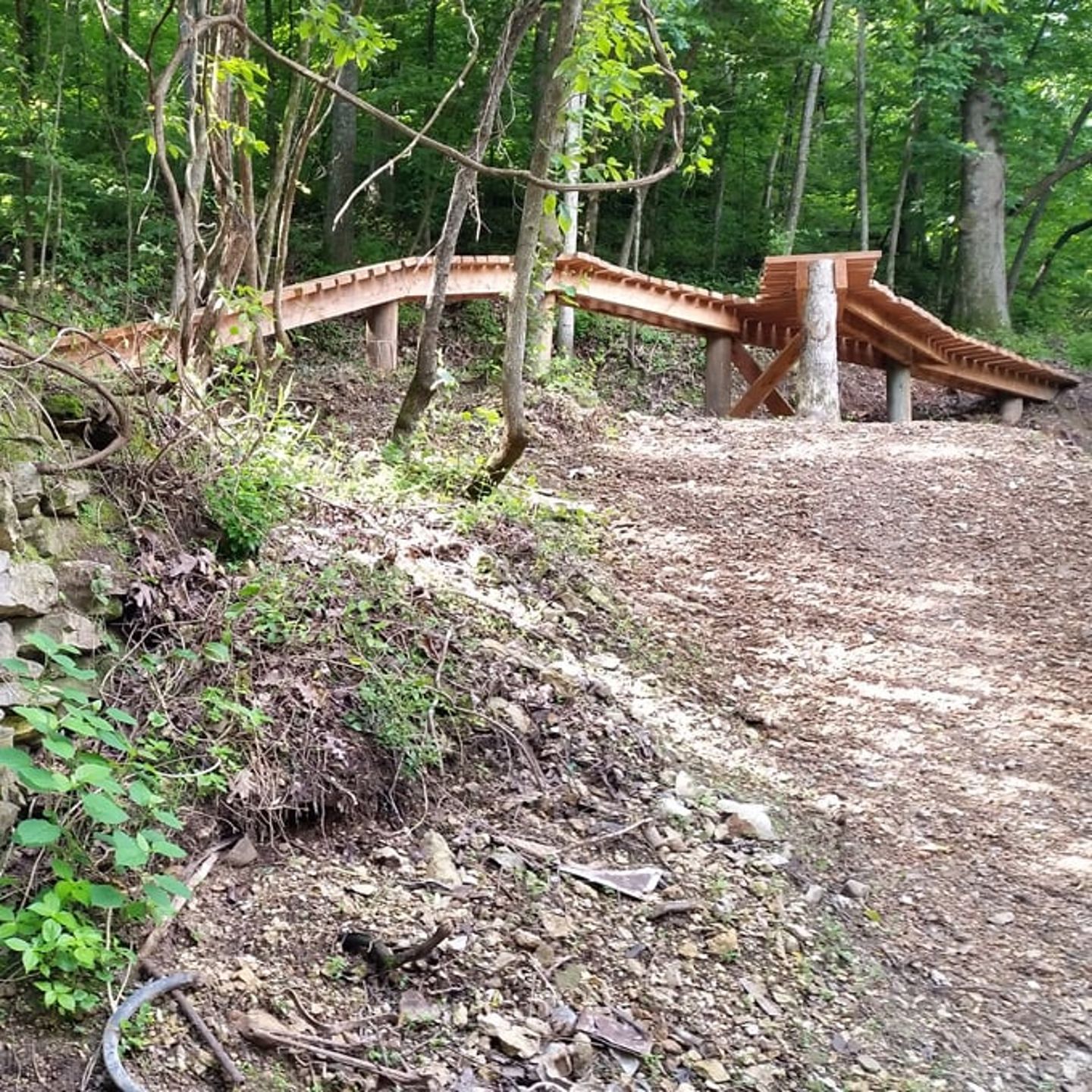 Level Up Your Mountain Biking Skills