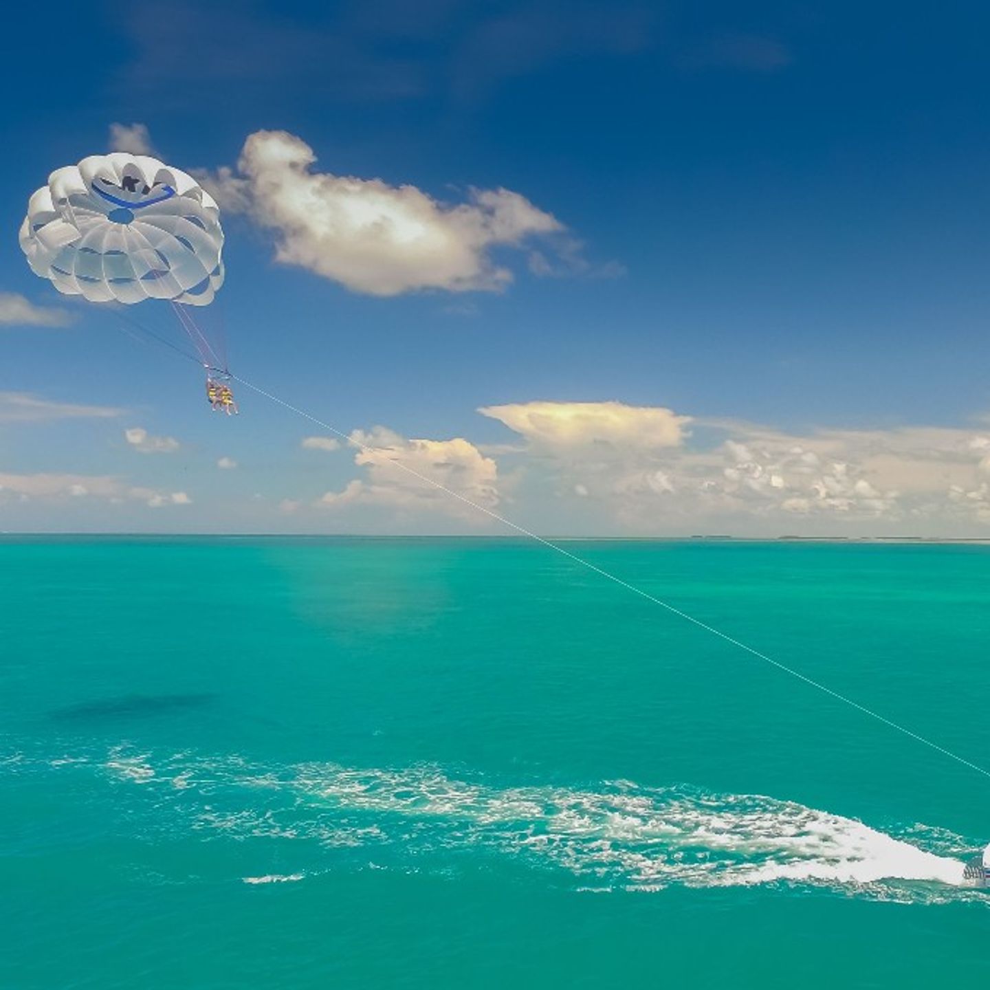 People parasailing along water